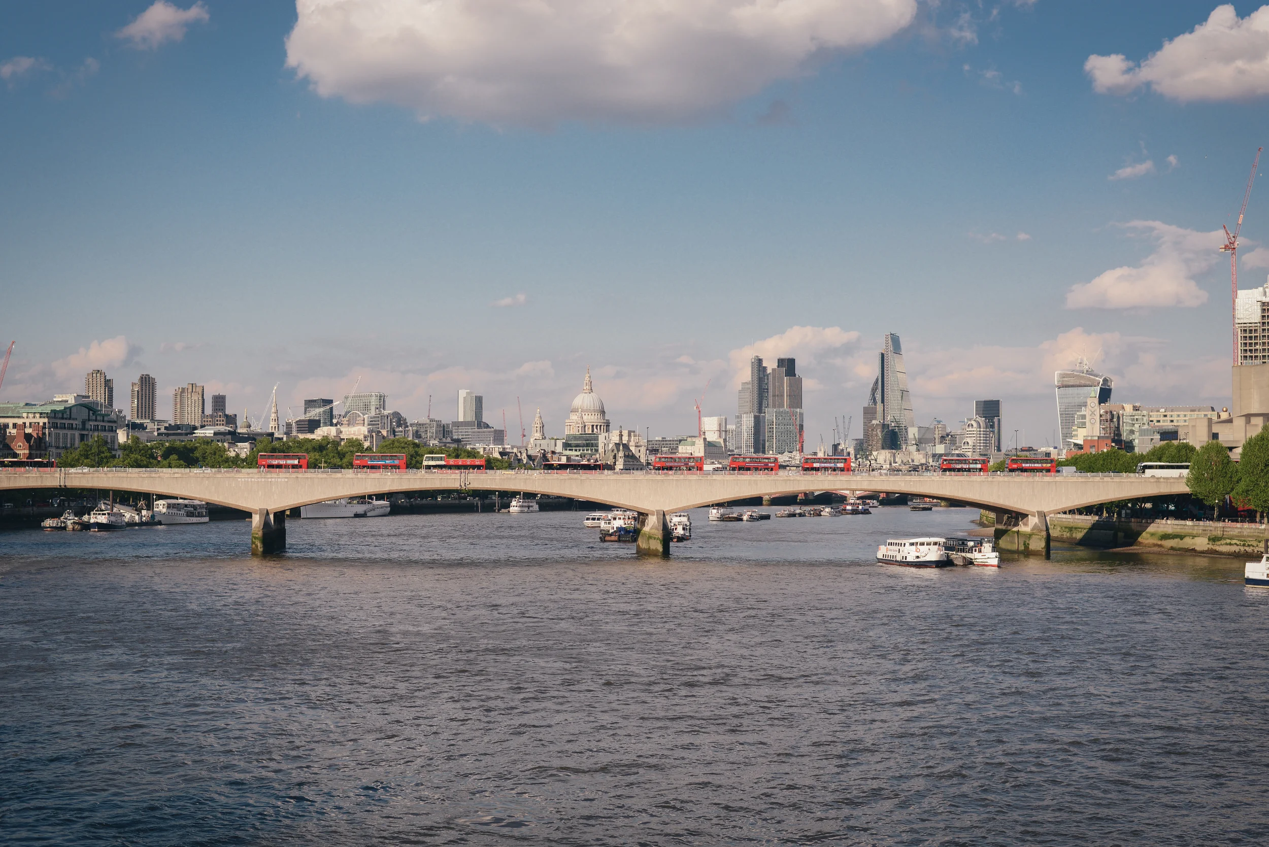 peter_140514-1.jpg