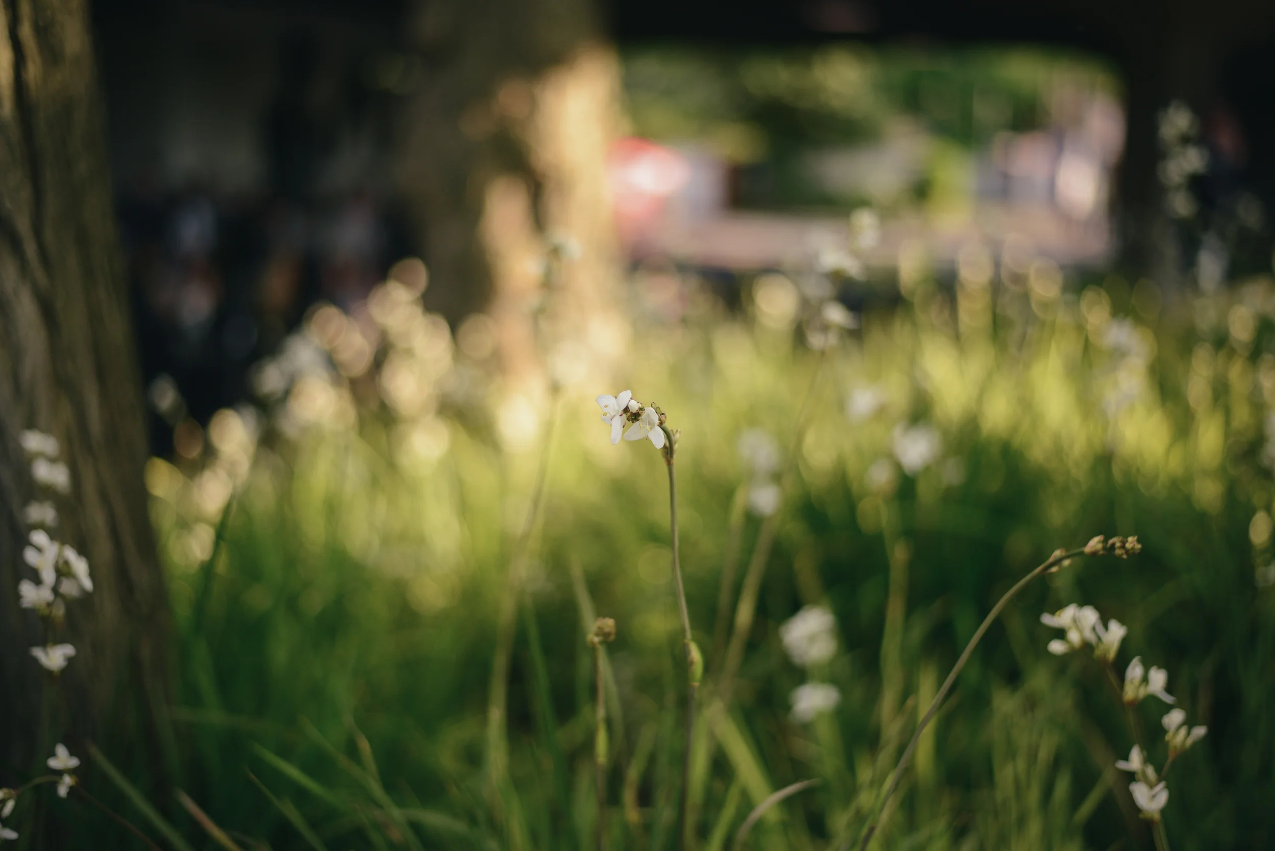 peter_140514-6.jpg