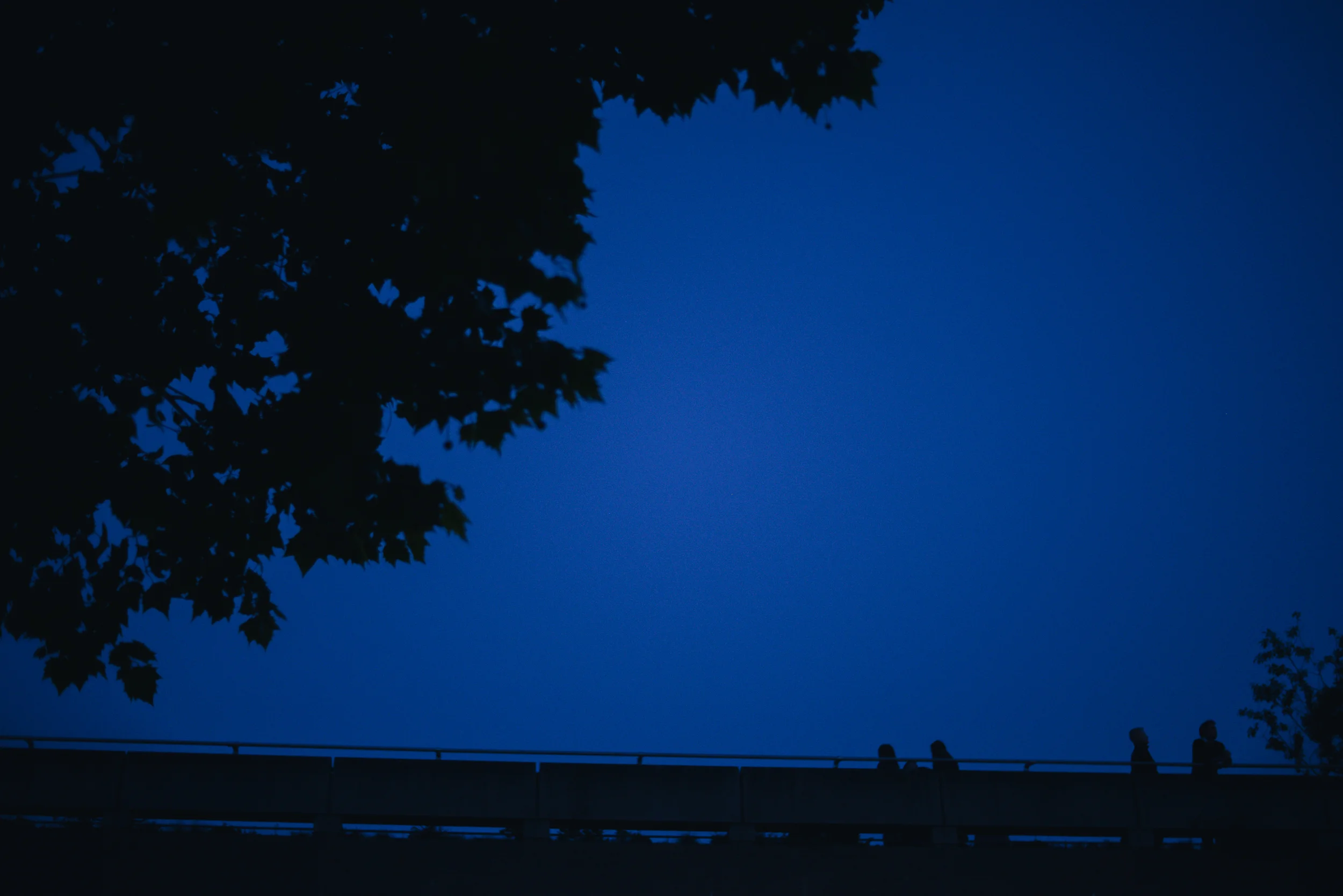 peter_140514-22.jpg