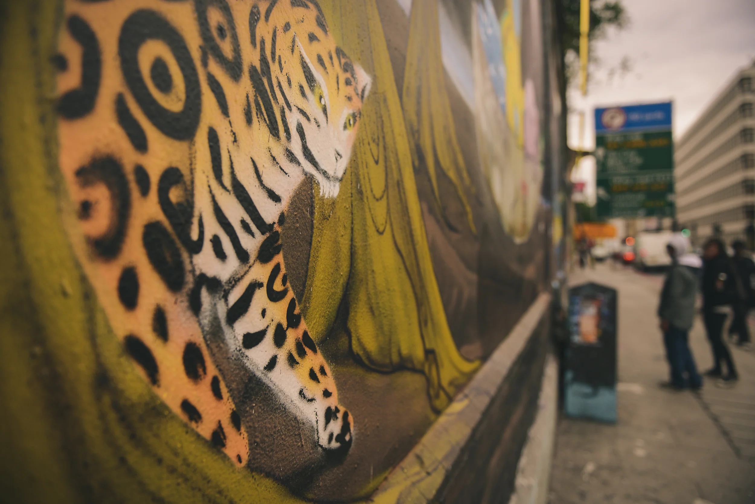 PeterG-16.06.16-24.jpg