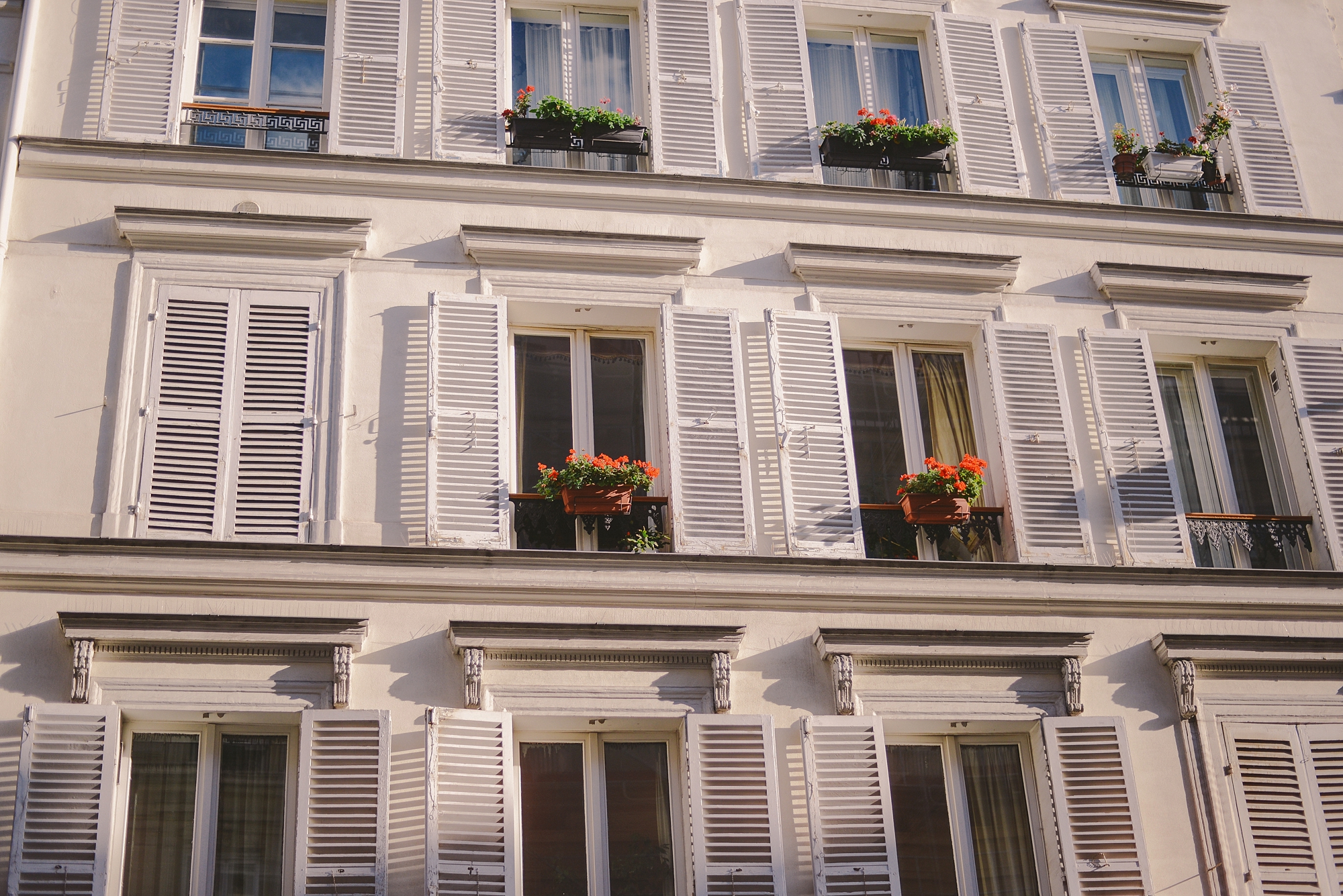 typical parisian windows with flower pots_0002.jpg