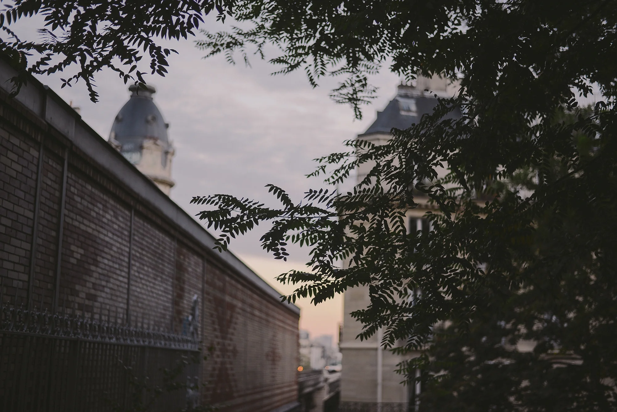 paris beauty_0008.jpg