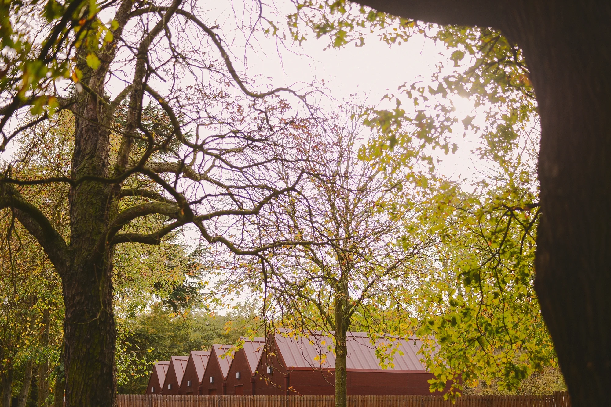 forest somewhere out of paris_0035.jpg