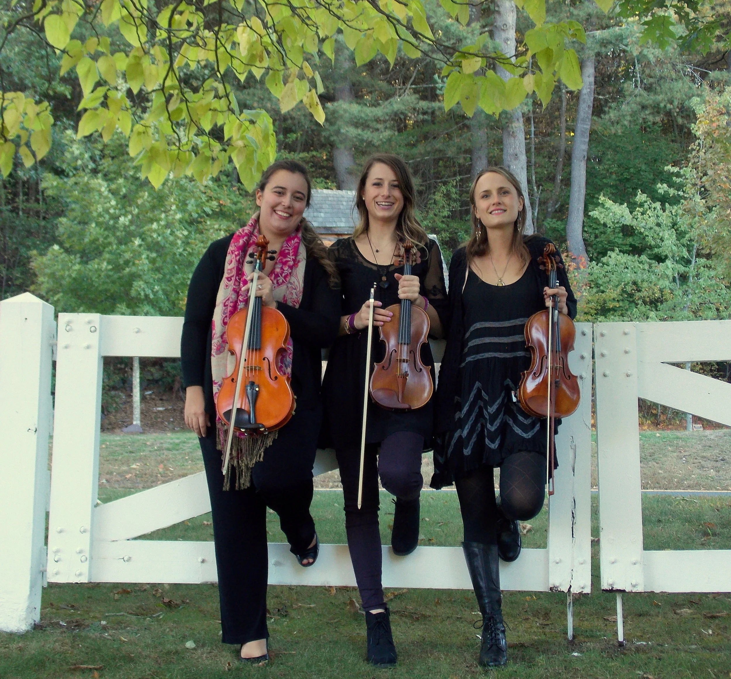 Summer Camp Offerings at Vivo Strings