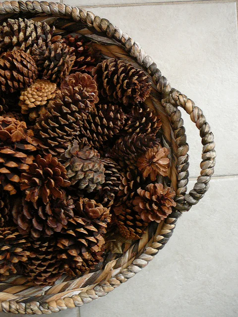 DECORATING+WITH+PINECONES+(1).jpg