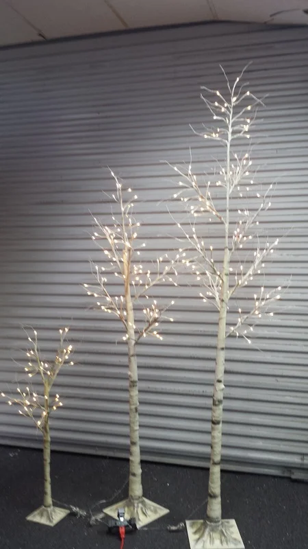 4'+-+8'+birch.jpg