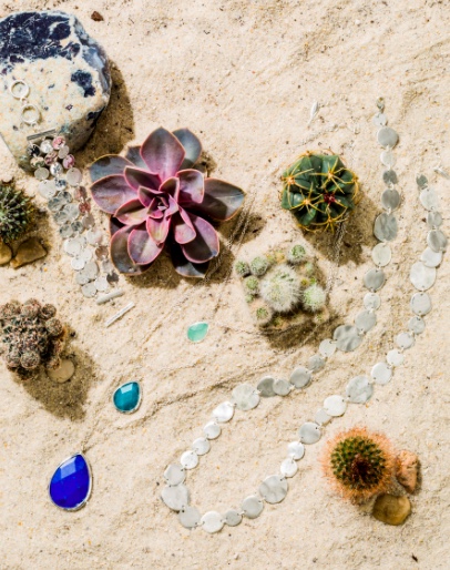 Sand with succulents or cacti
