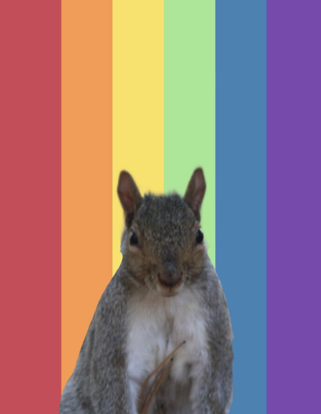 1/15/25 | Material Squirrels: An 80's Drag Show