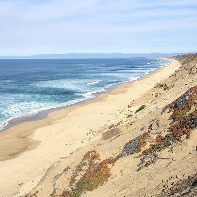 🏖 C  A  L  I  F  O  R  N  I  A 🏖

#california #monterey #roadtrip #travel #weekendgetaway #westcoast