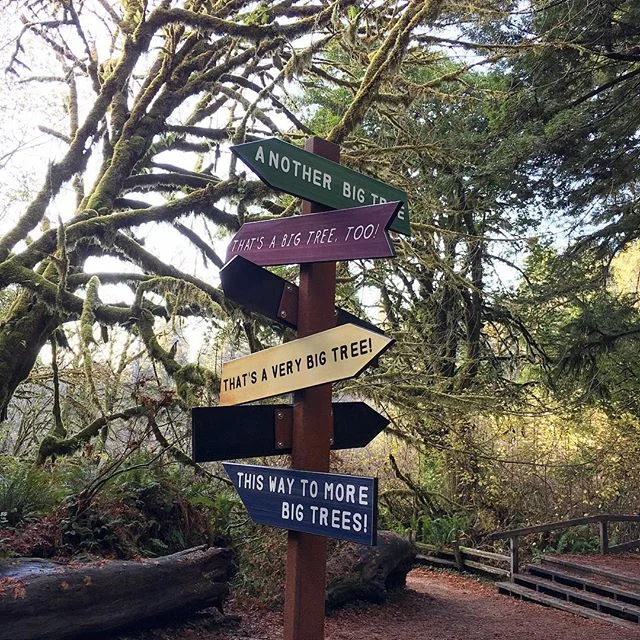 🌲 C  A  L  I  F  O  R  N  I  A 🌲
#california #klamath #redwoods #redwoodforest #roadtrip #travel #weekendgetaway #westcoast