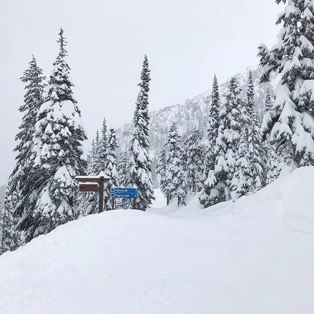 🇨🇦 W  H  I  S  T  L  E  R 🇨🇦
#canada #whistler #whistlerblackcomb #travel #vacation #holiday #weekendgetaway #skiing #masterofthesurface @whistlerblackcomb
