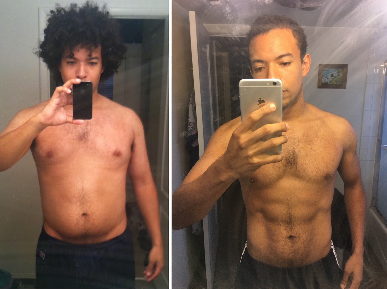 Ant_Transformation-01.png