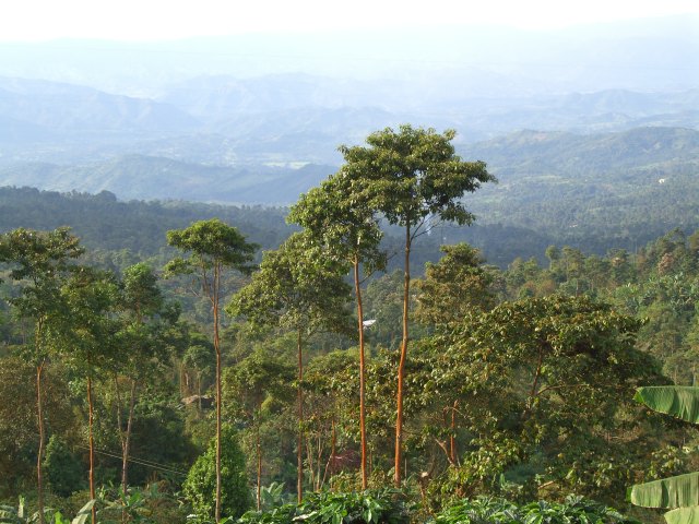 COLOMBIA DEC 2006 014.jpg