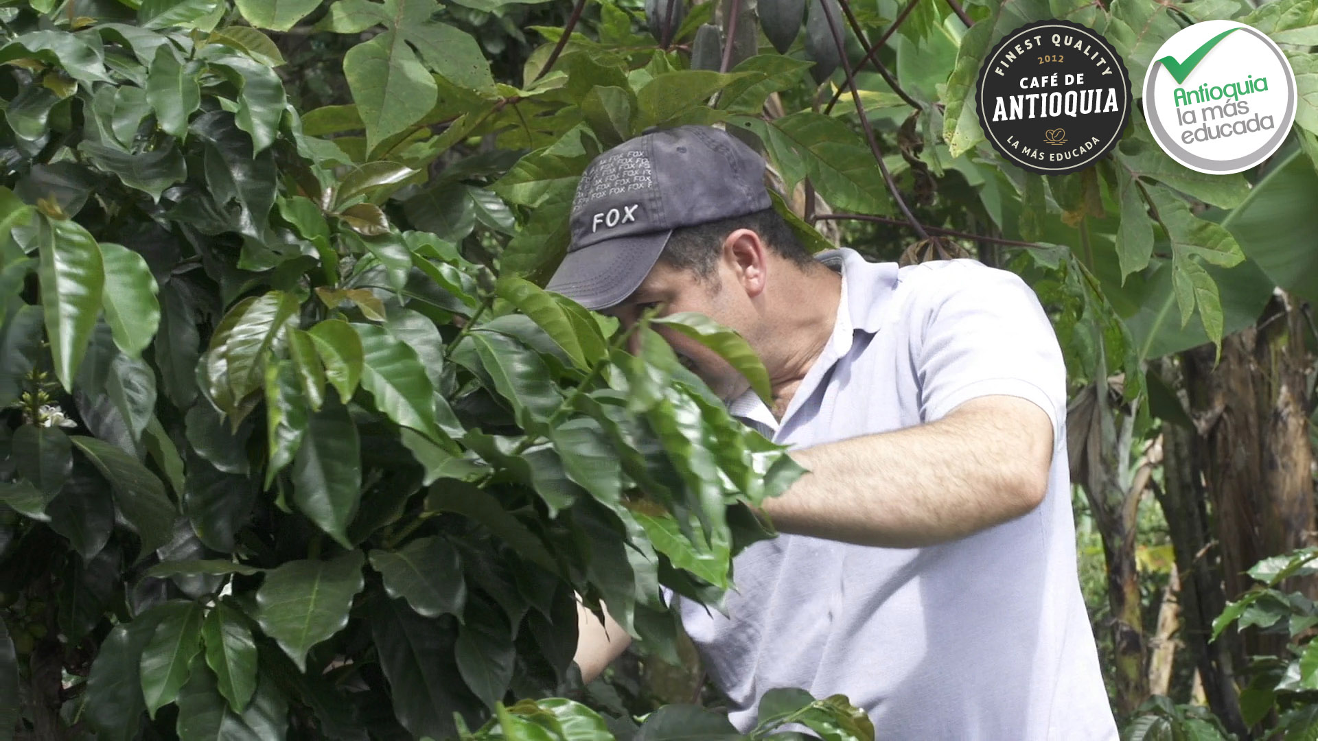 Antioquia Microlot Finca Las Carmelitas 2.jpg