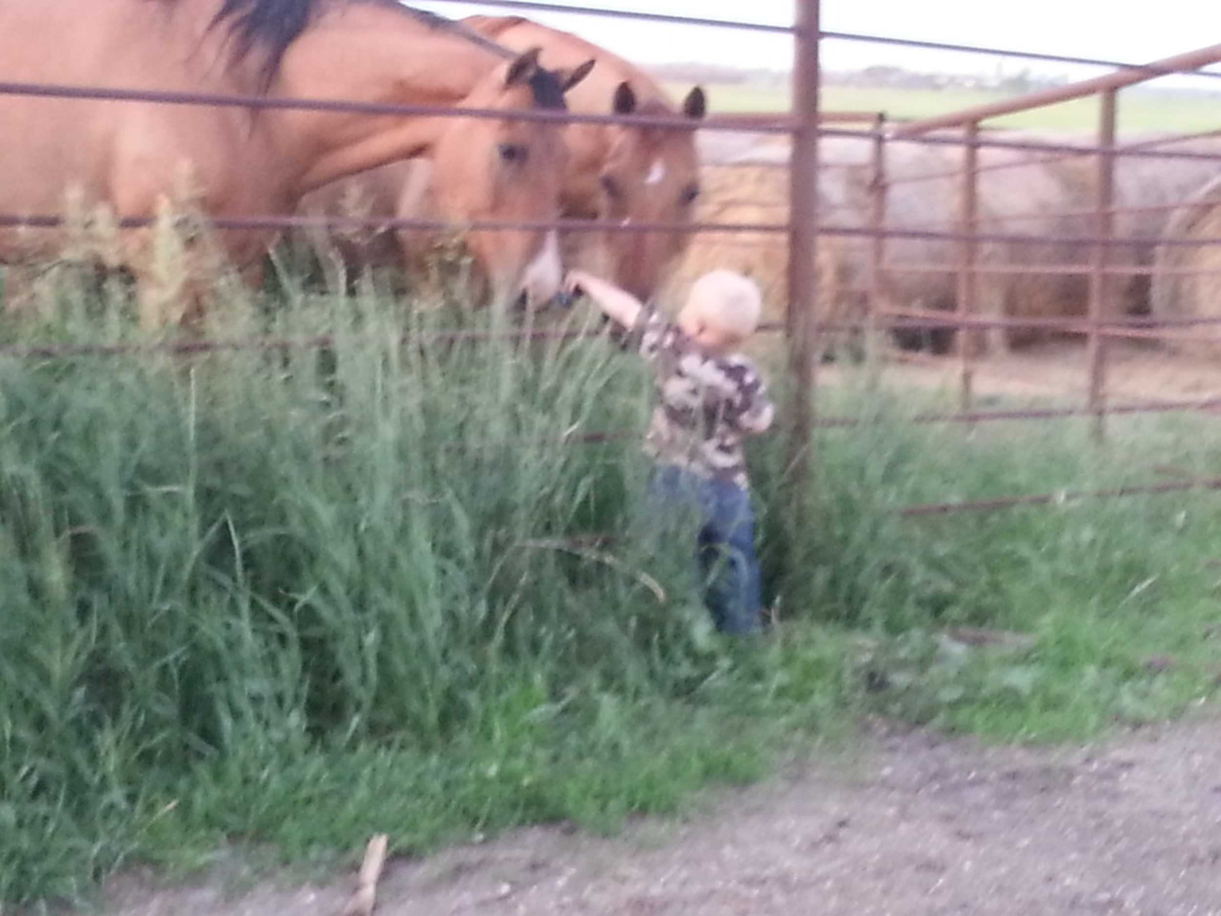 20130626_212637.jpg