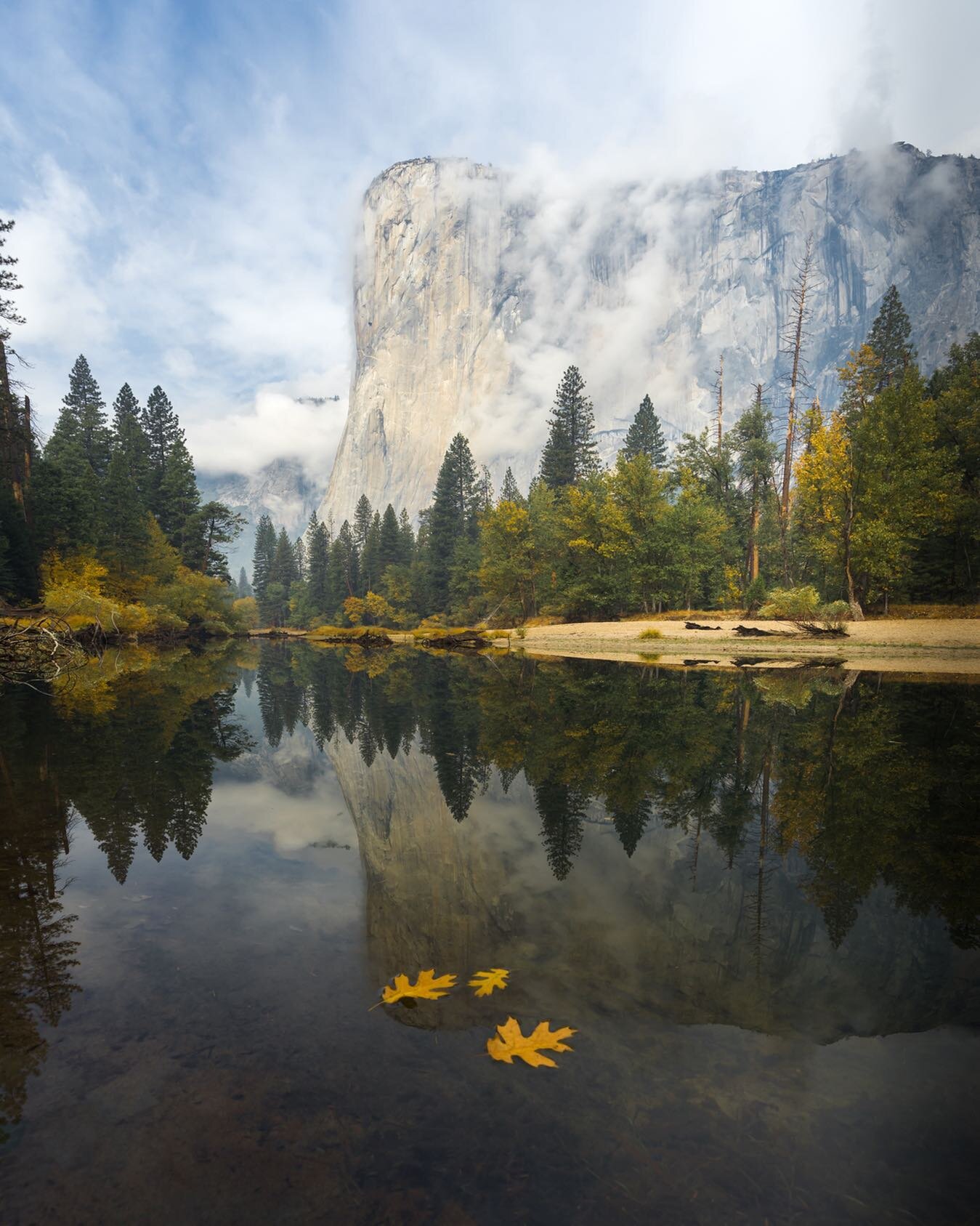 Yosemite is one of the most beautiful parks all year round. Every season has a completely different experience. 🍁 Fall is an interesting one; you can find maple trees scattered throughout the park. 🍂