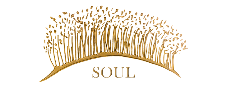 SOUL PAGE SPLASH.png