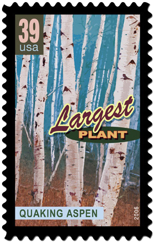 Wonders of America: Land of Superlatives