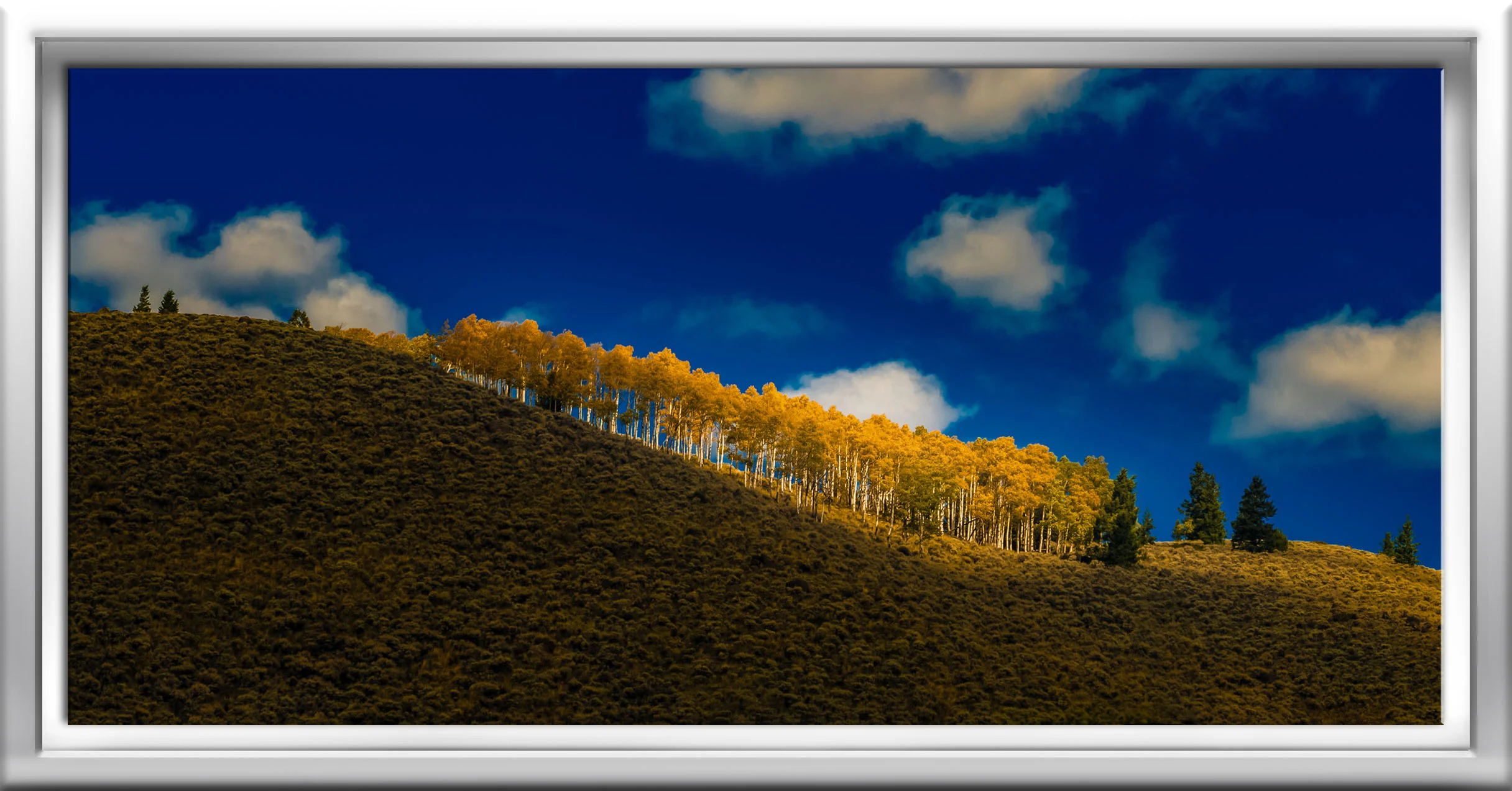 VAIL