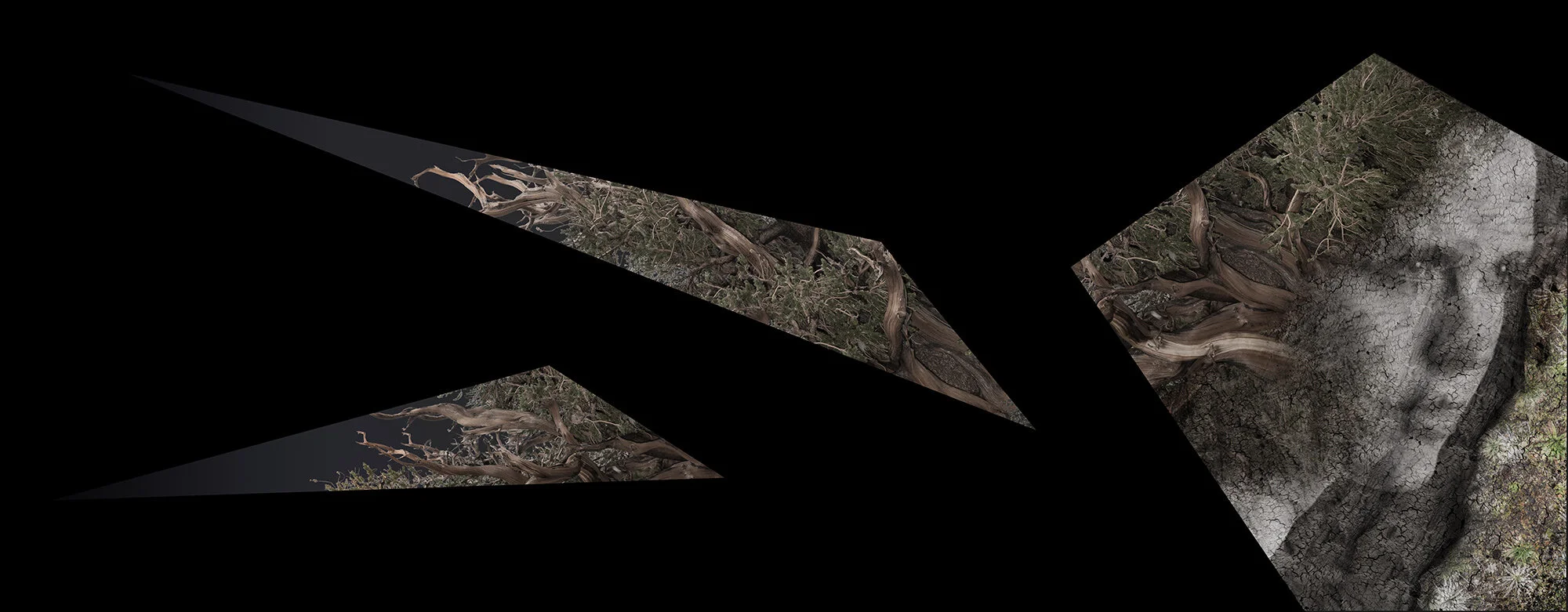 A Zone B web.jpg