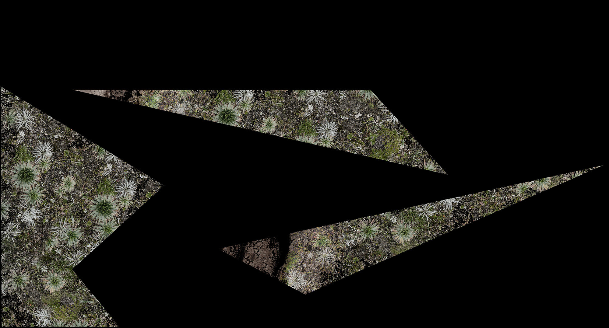 Zone C web.jpg