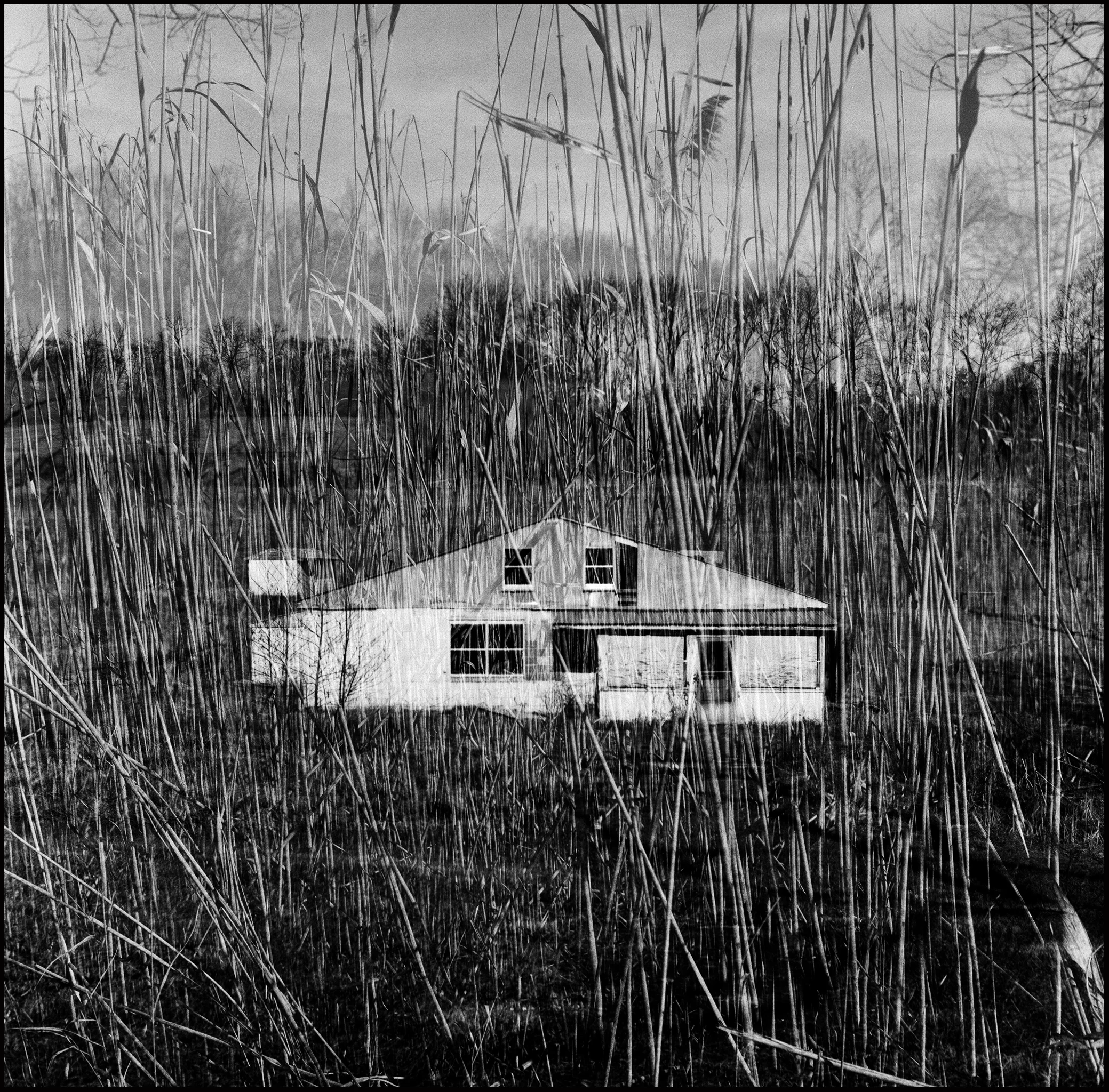 Reeds/Pool House.