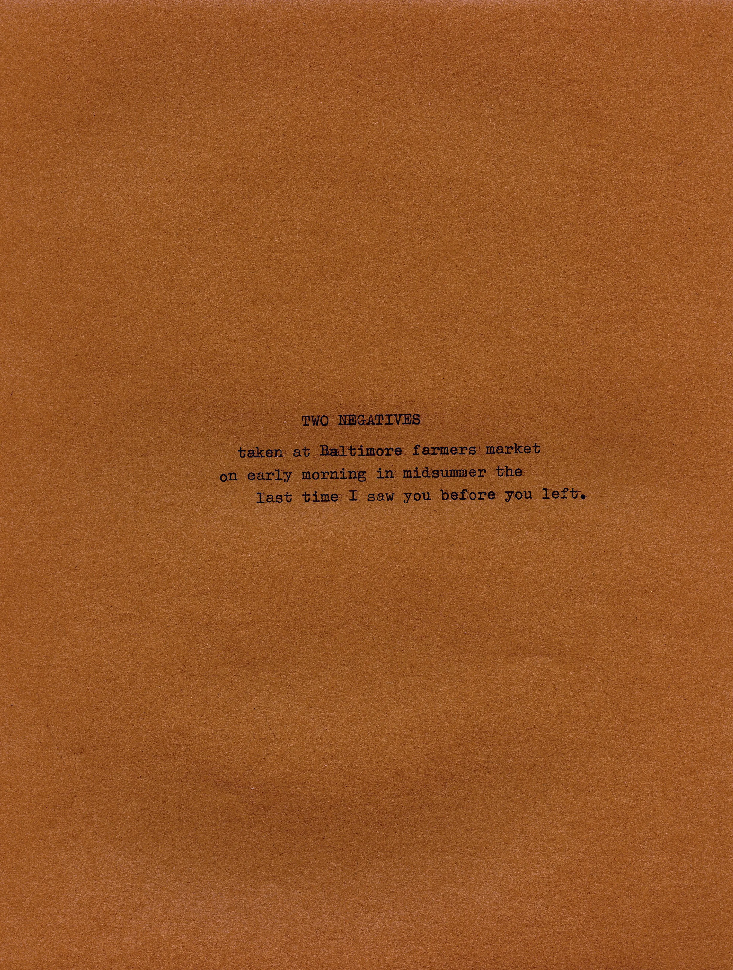 Two Negatives Log