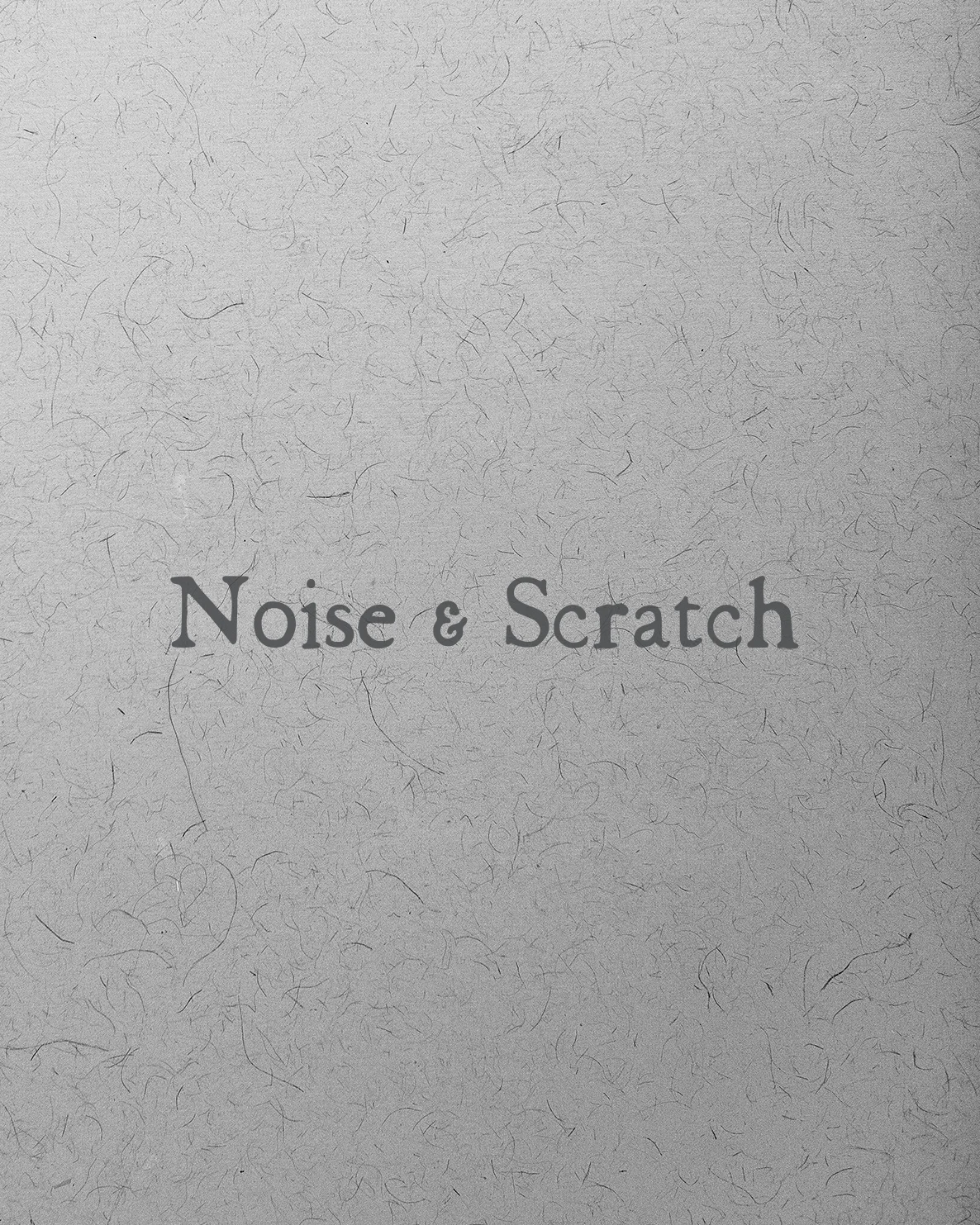 Noise and scratch 1 copy.jpg