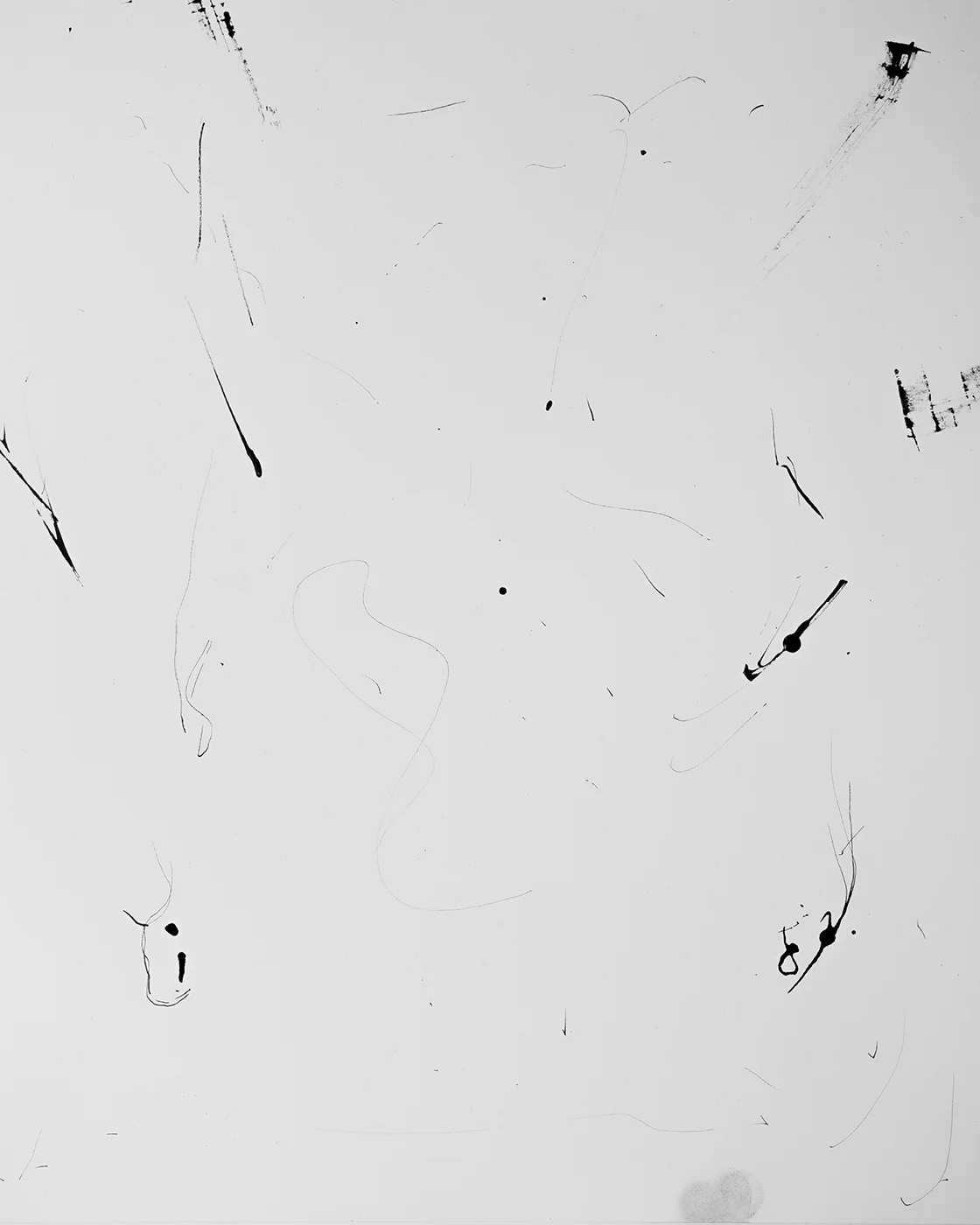 ELE_2801-2.jpg