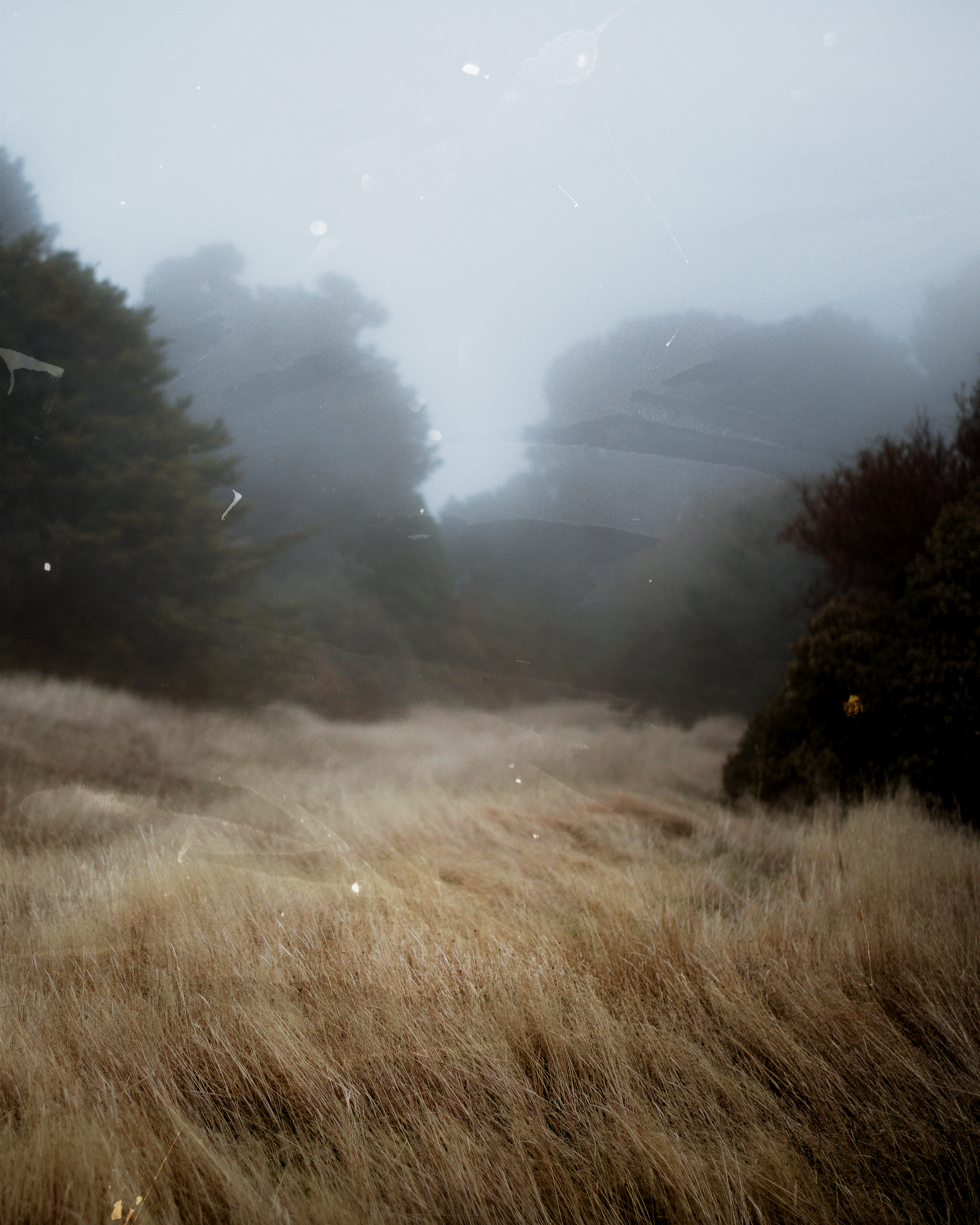 20121018-DSC_6779.png