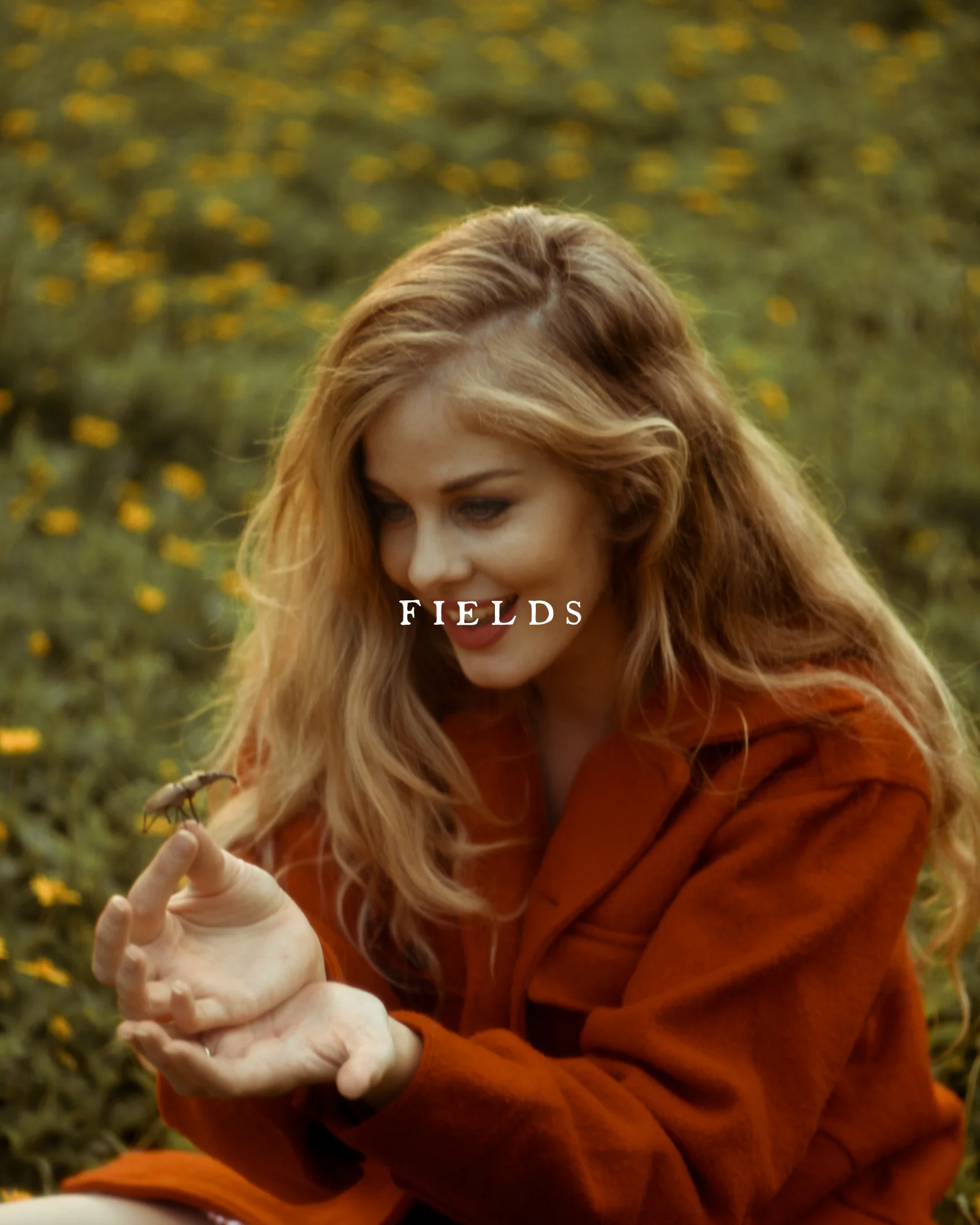 fields2.jpg