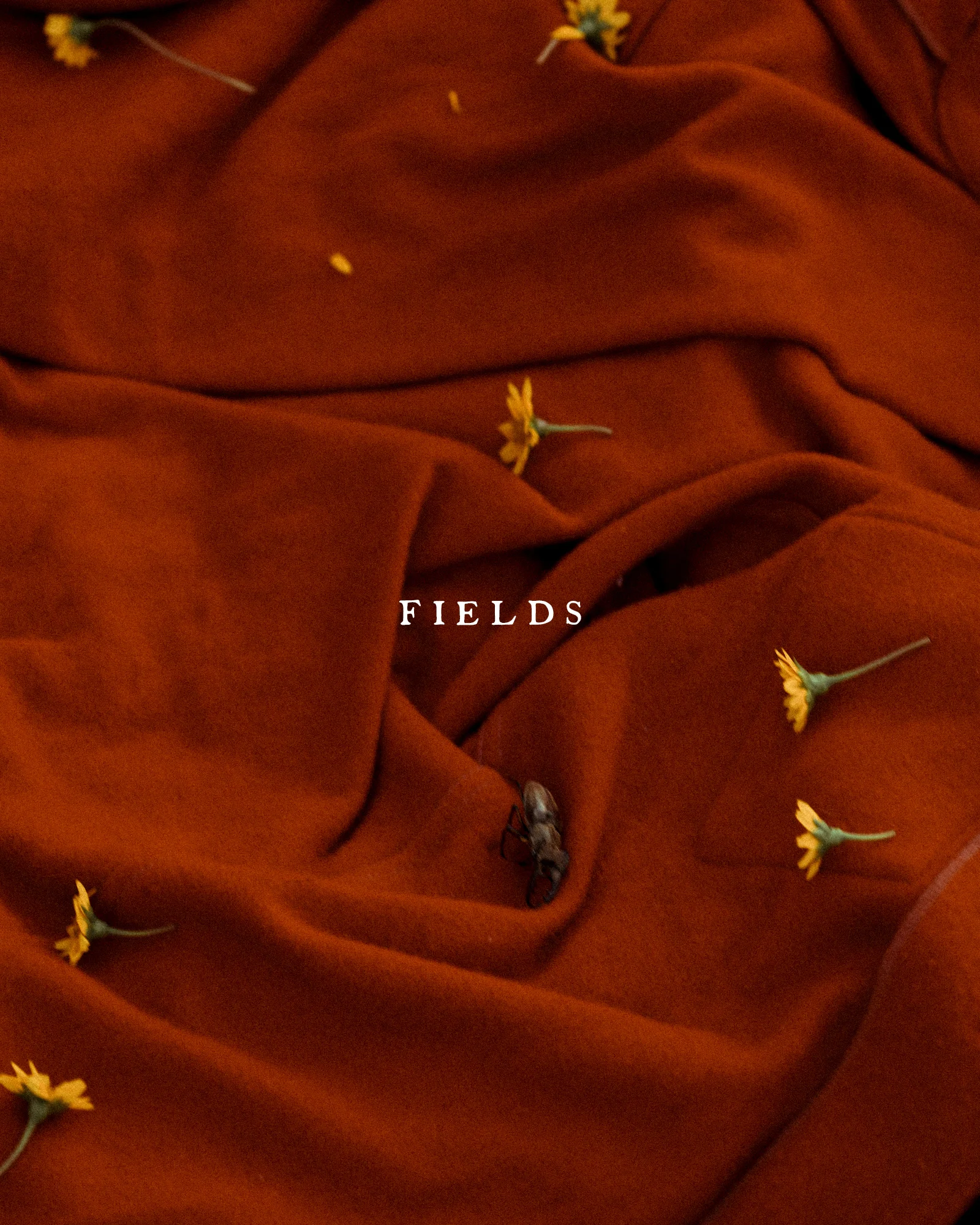 fields1.jpg