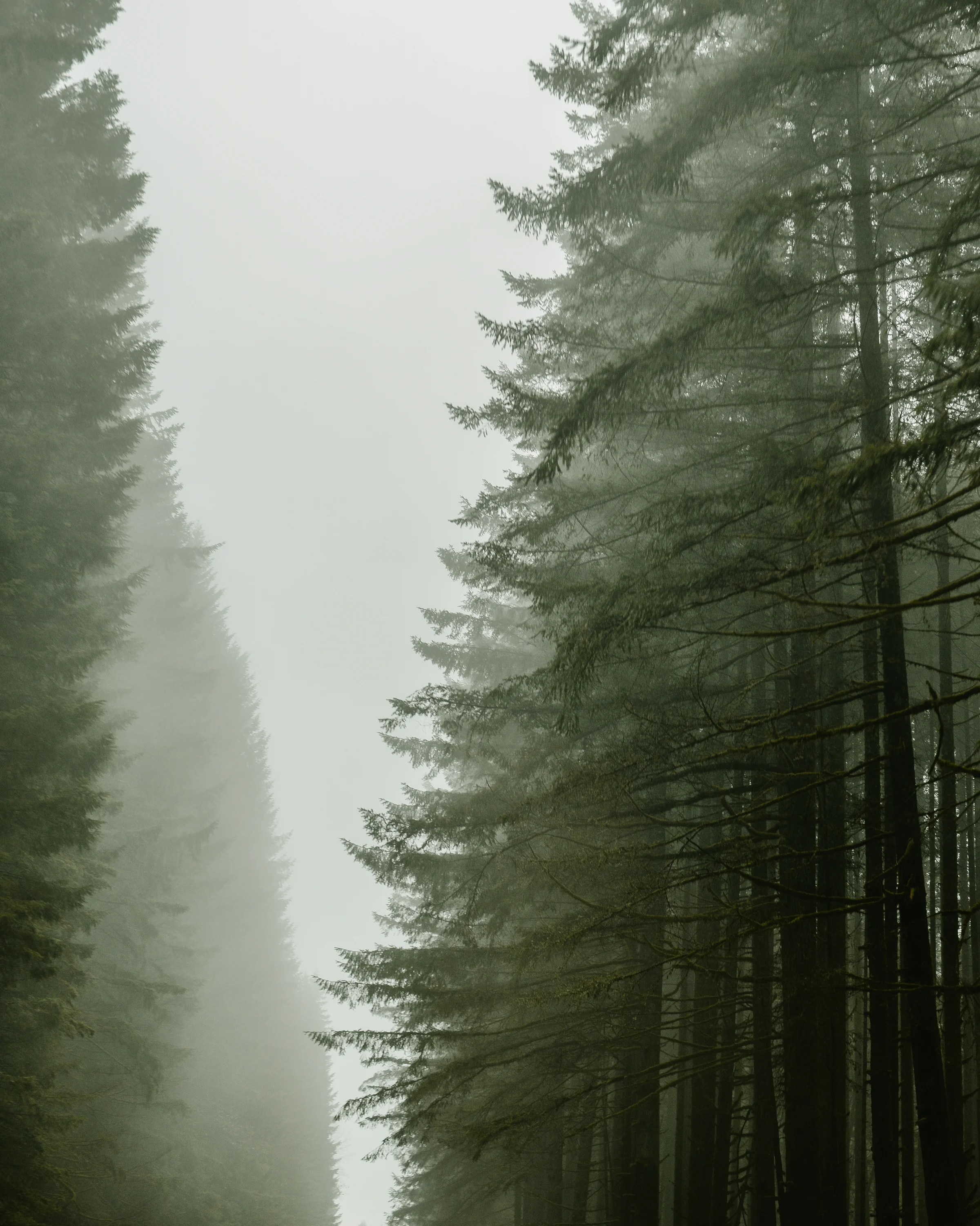 DSC_0125.jpg