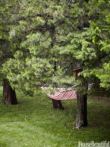 hammock.jpg