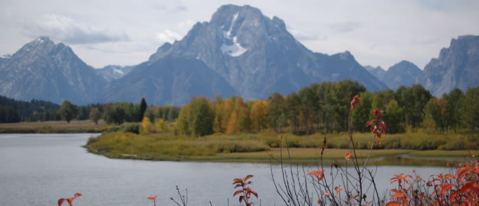 hatchet-view.jpg