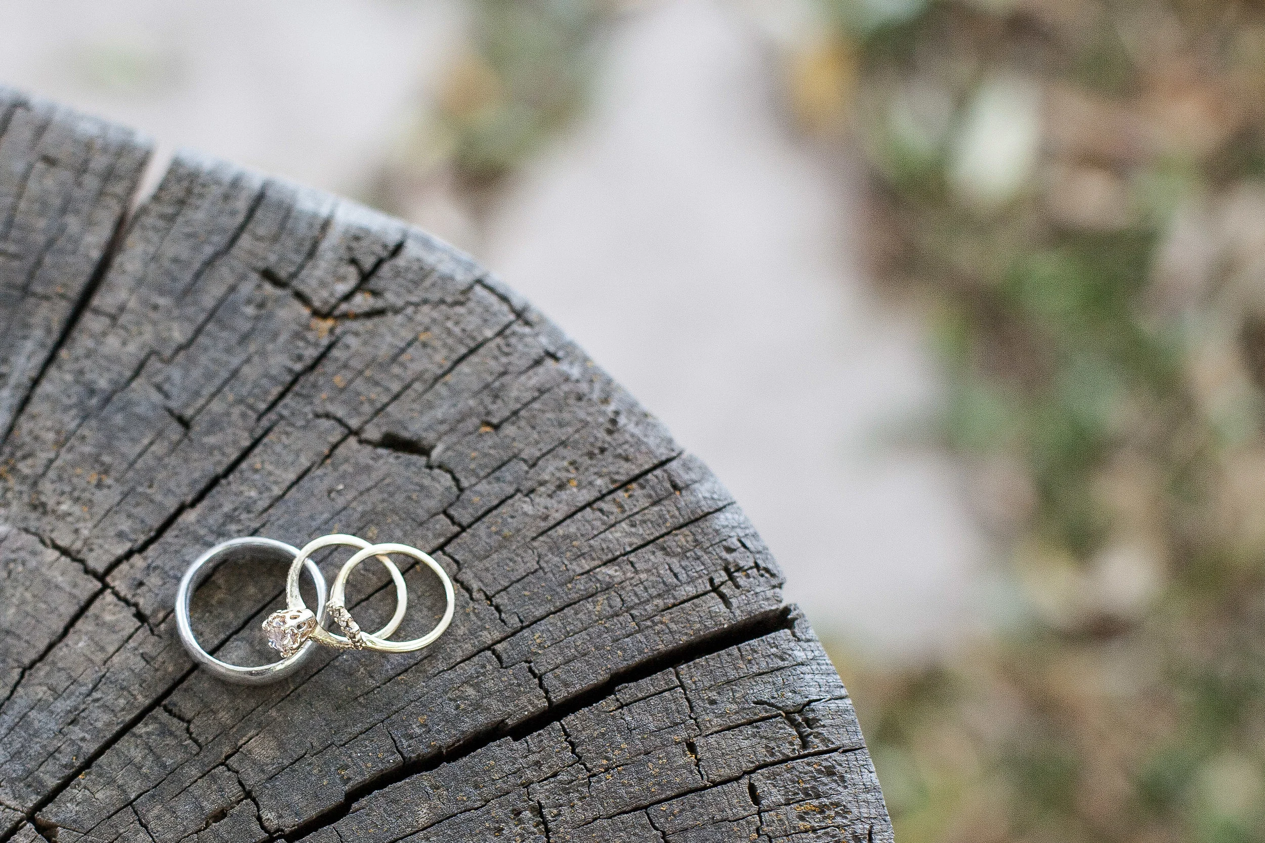 Rings Jackson Hole Wedding.jpg