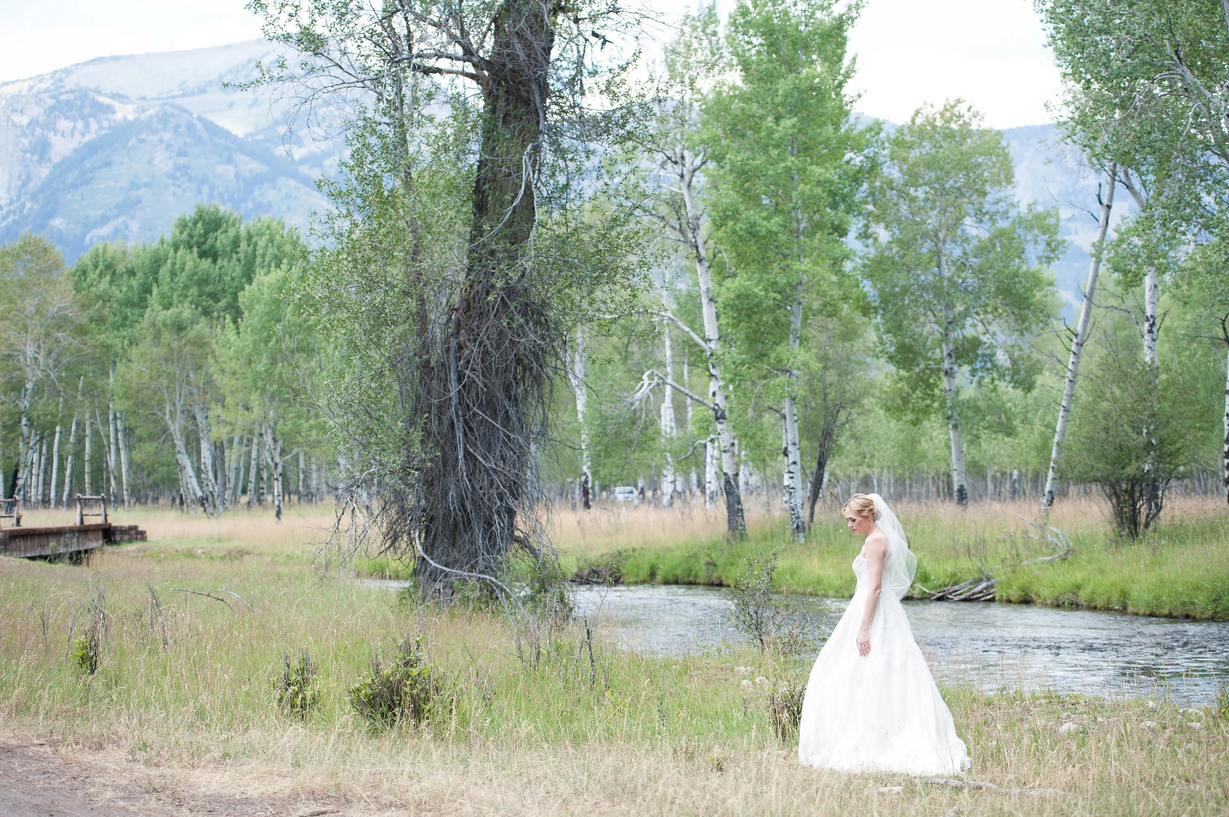Nature Jackson Hole Wedding.jpg