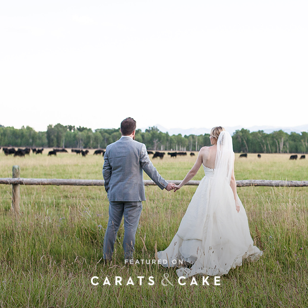 kate and erik carats and cake.jpg