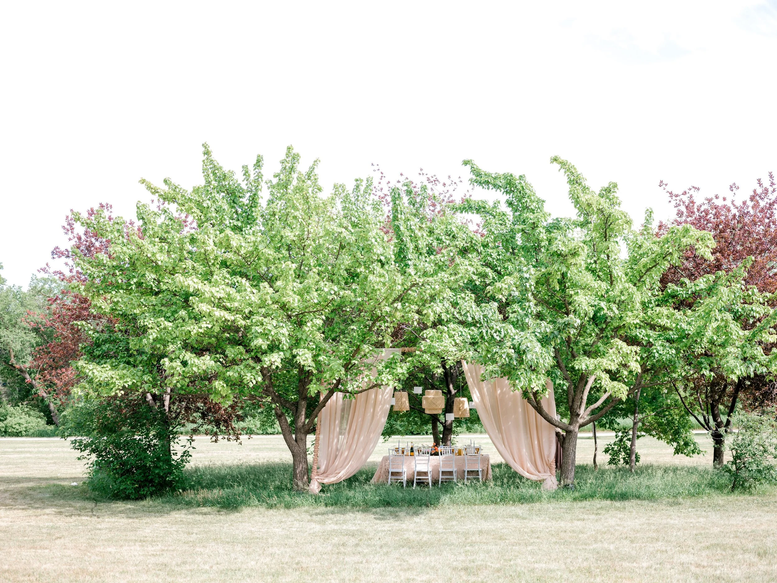 Prairie Grove Citrus and Lavender Wedding Editorial