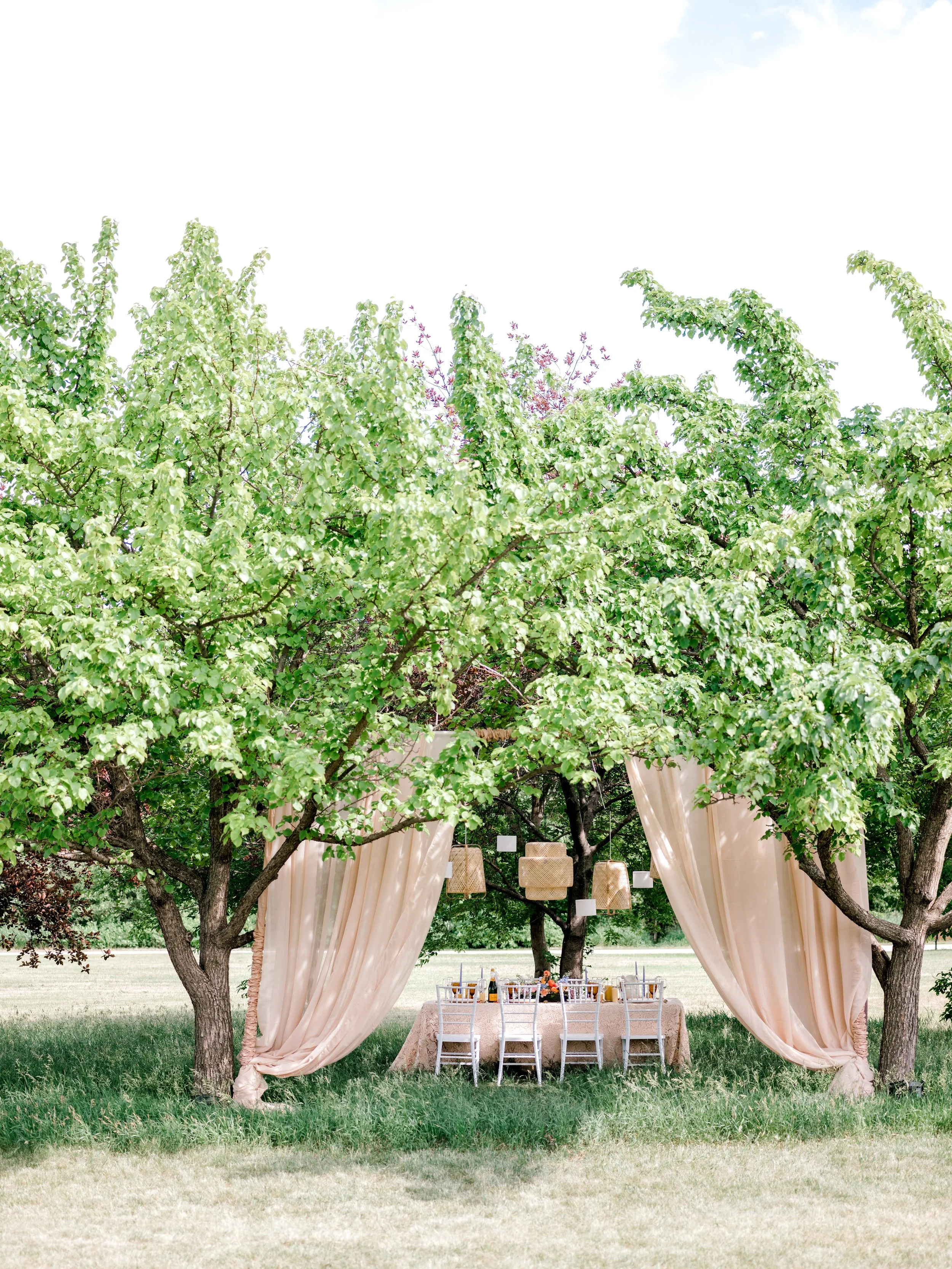 Intimate Prairie Grove Wedding
