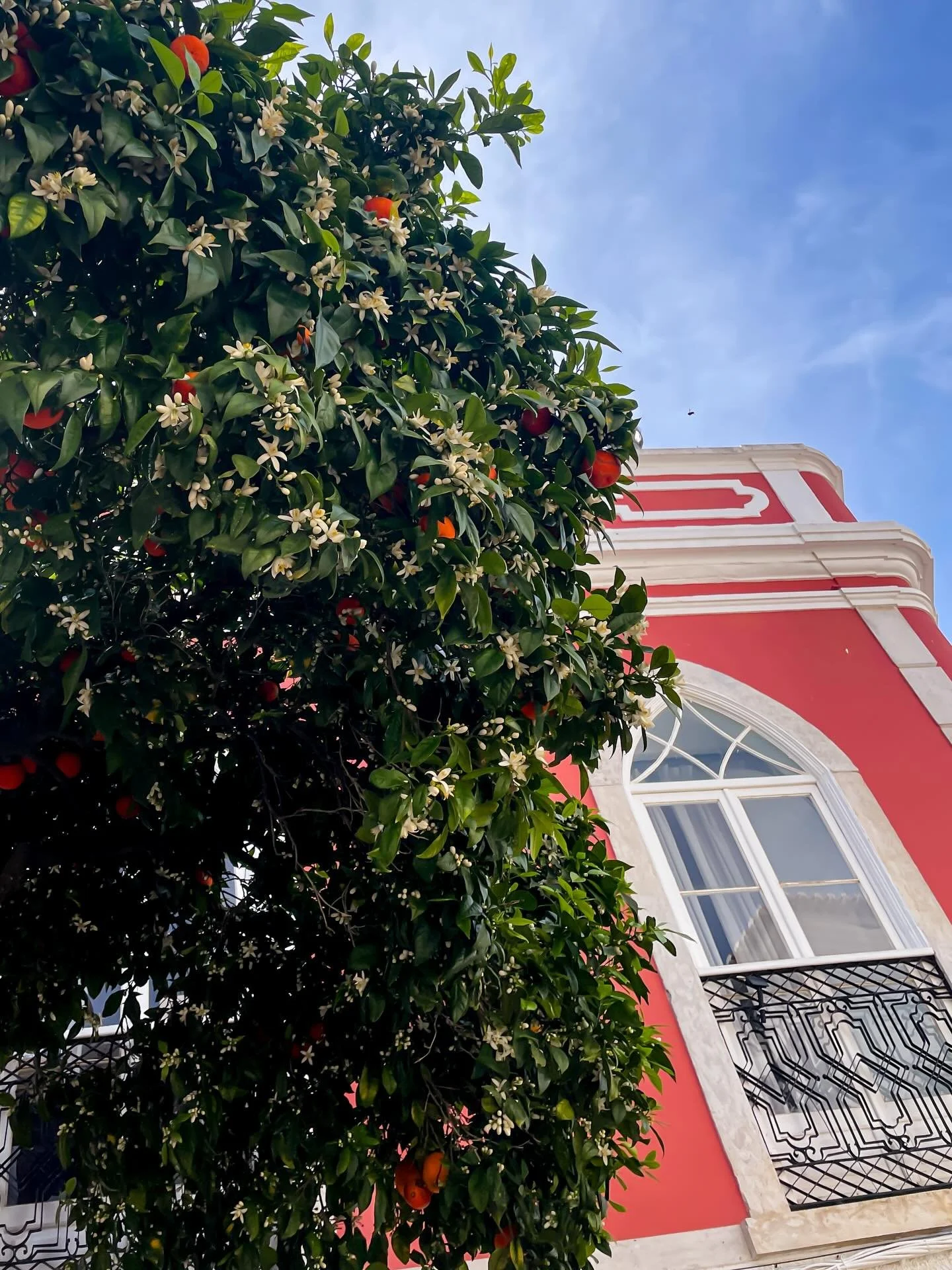 Our last week in Portugal was all about revisiting our favourite moments and places: the beach, slow walks to and through old town for snacks, and a local soccer game that carried the energy of a stadium. The days were filled with sunshine up until t