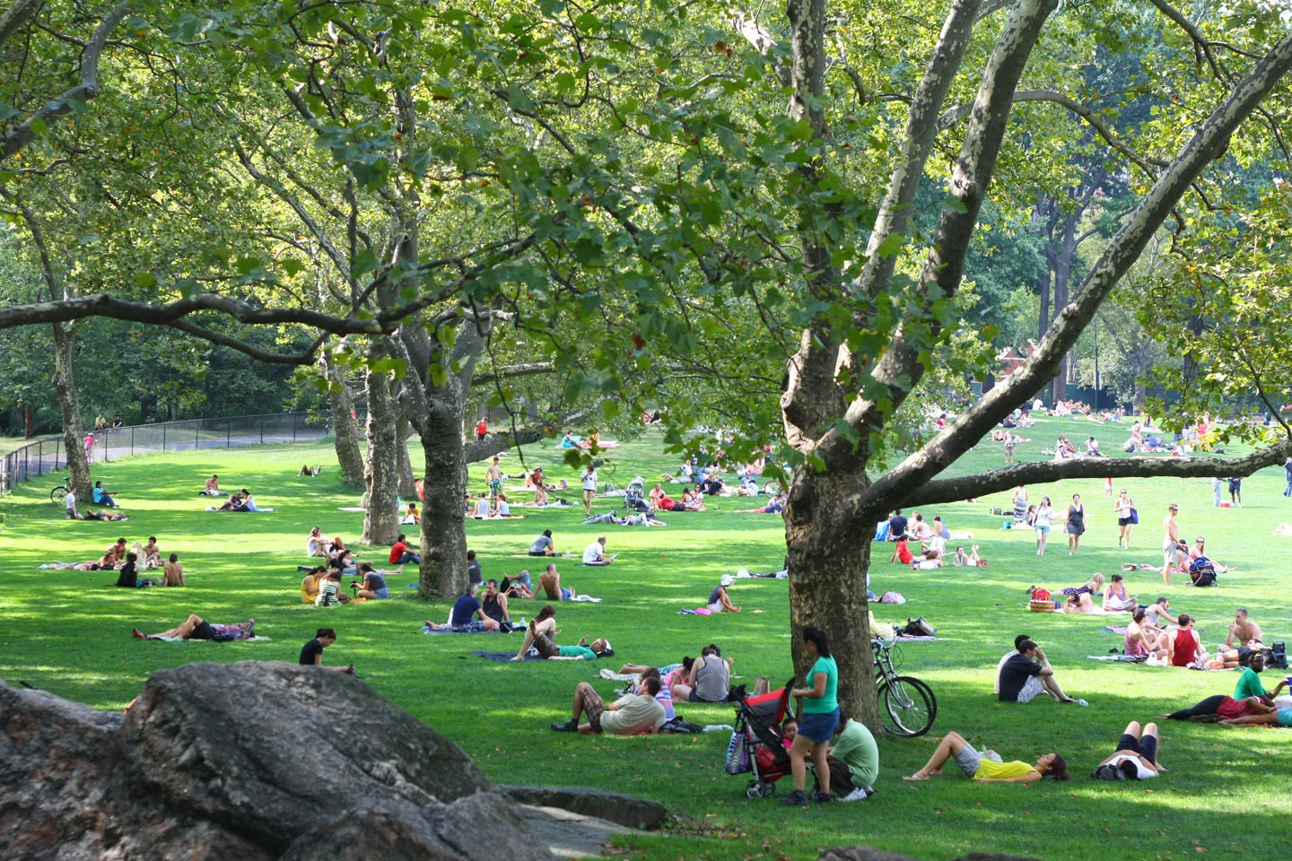 Fall Informational Social in Central Park