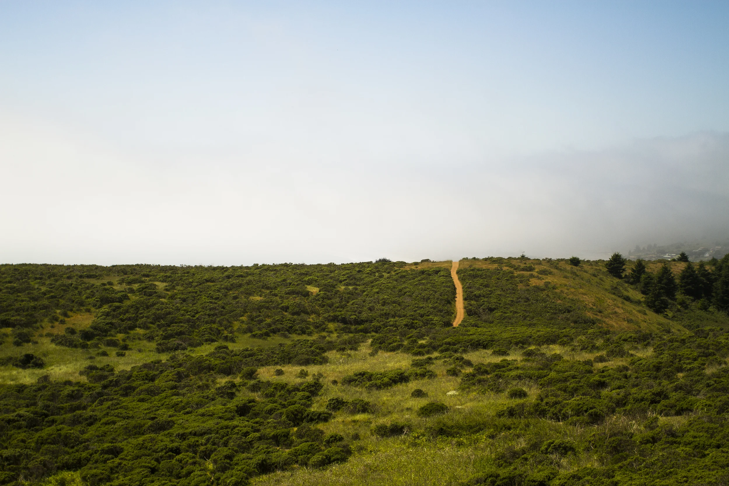 beachpath_1.JPG