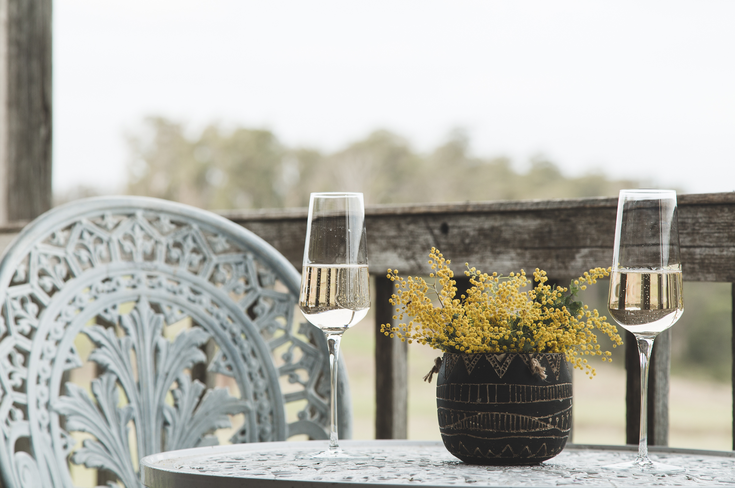 Wines For Joanie-32.jpg