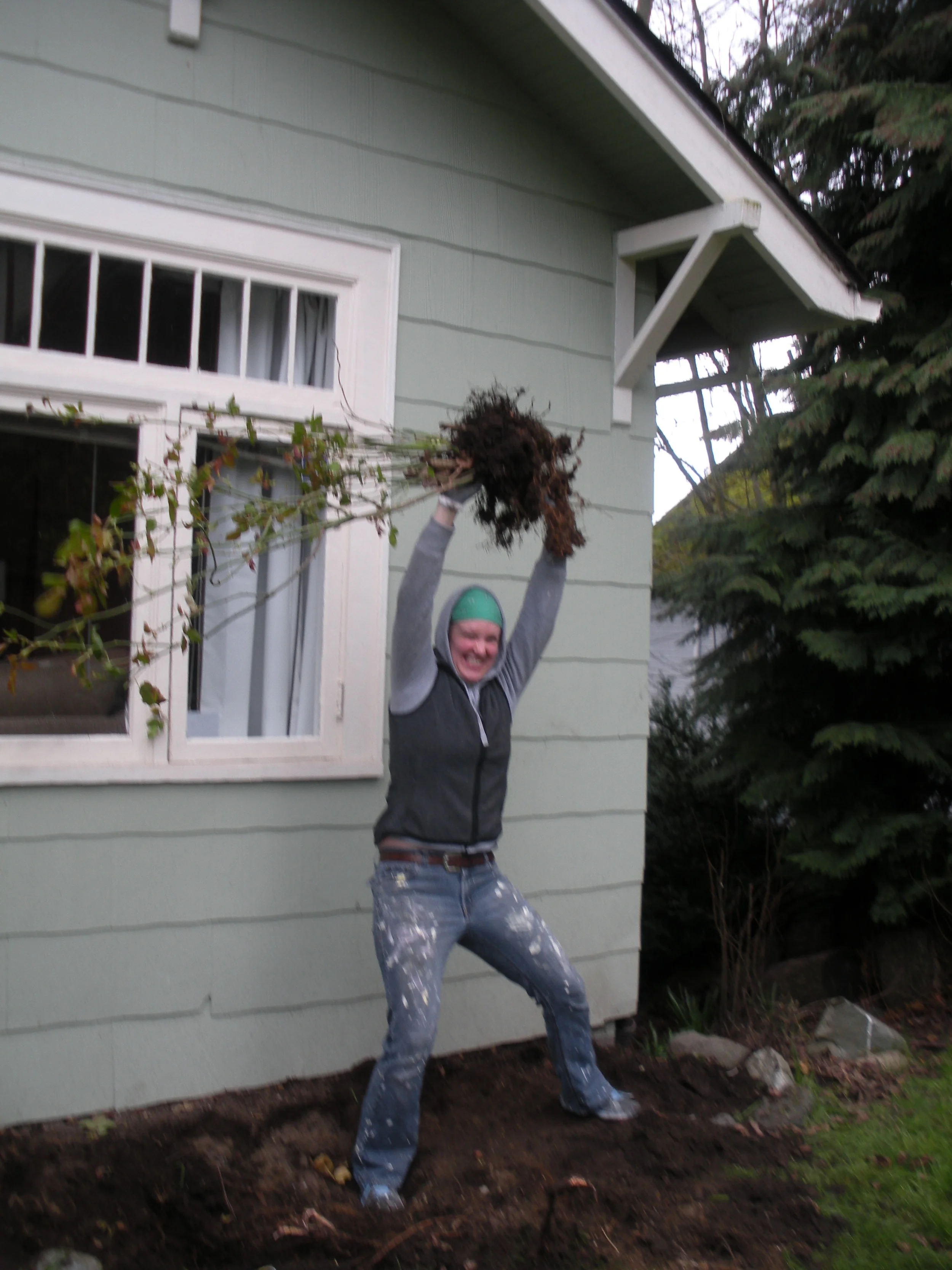 VICTORY! Get out of my garden, rose!