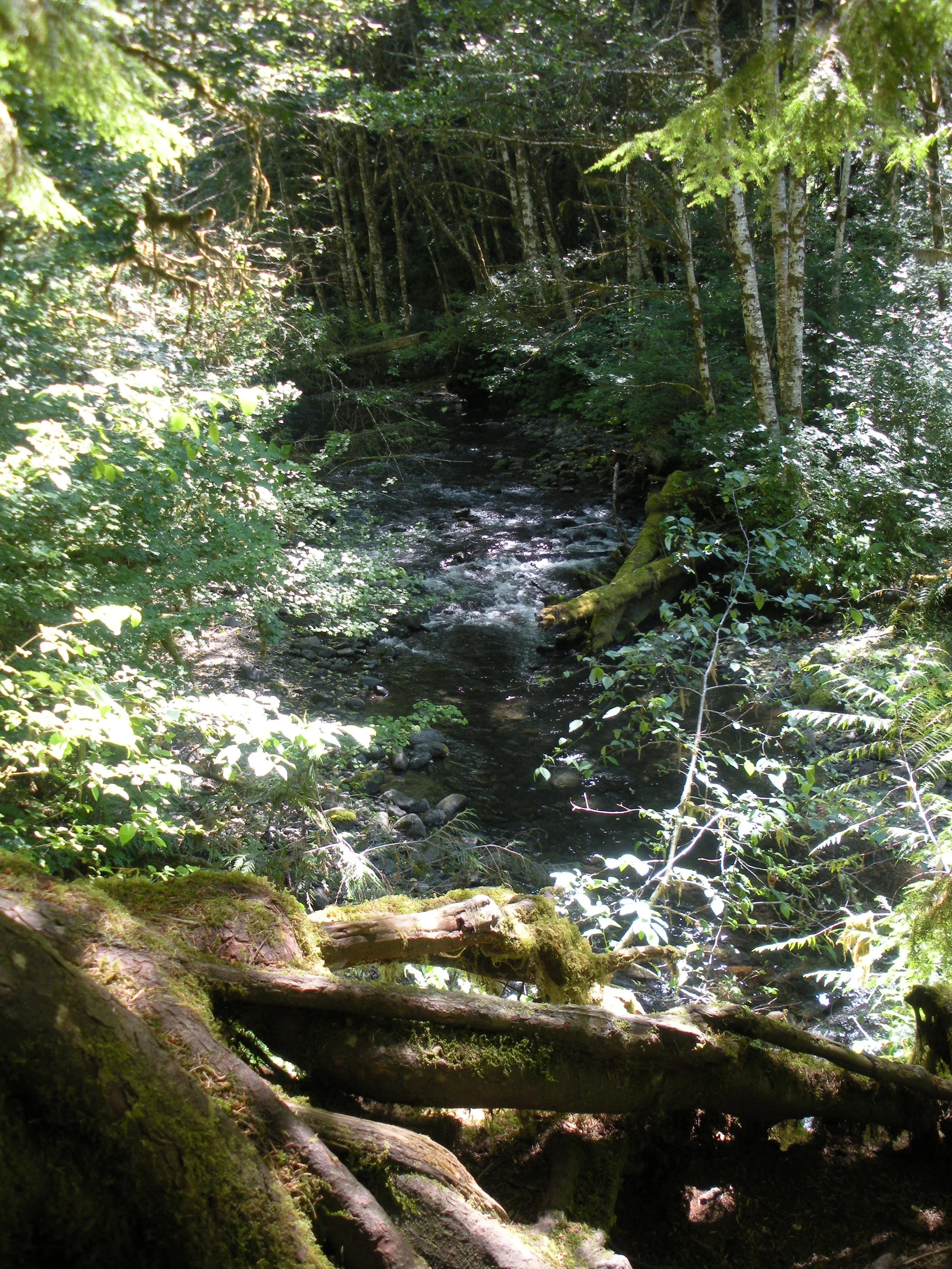 Hiking to Marymere Falls