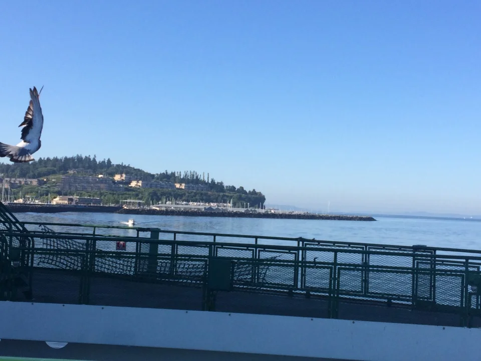 Edmonds as seen from the ferry
