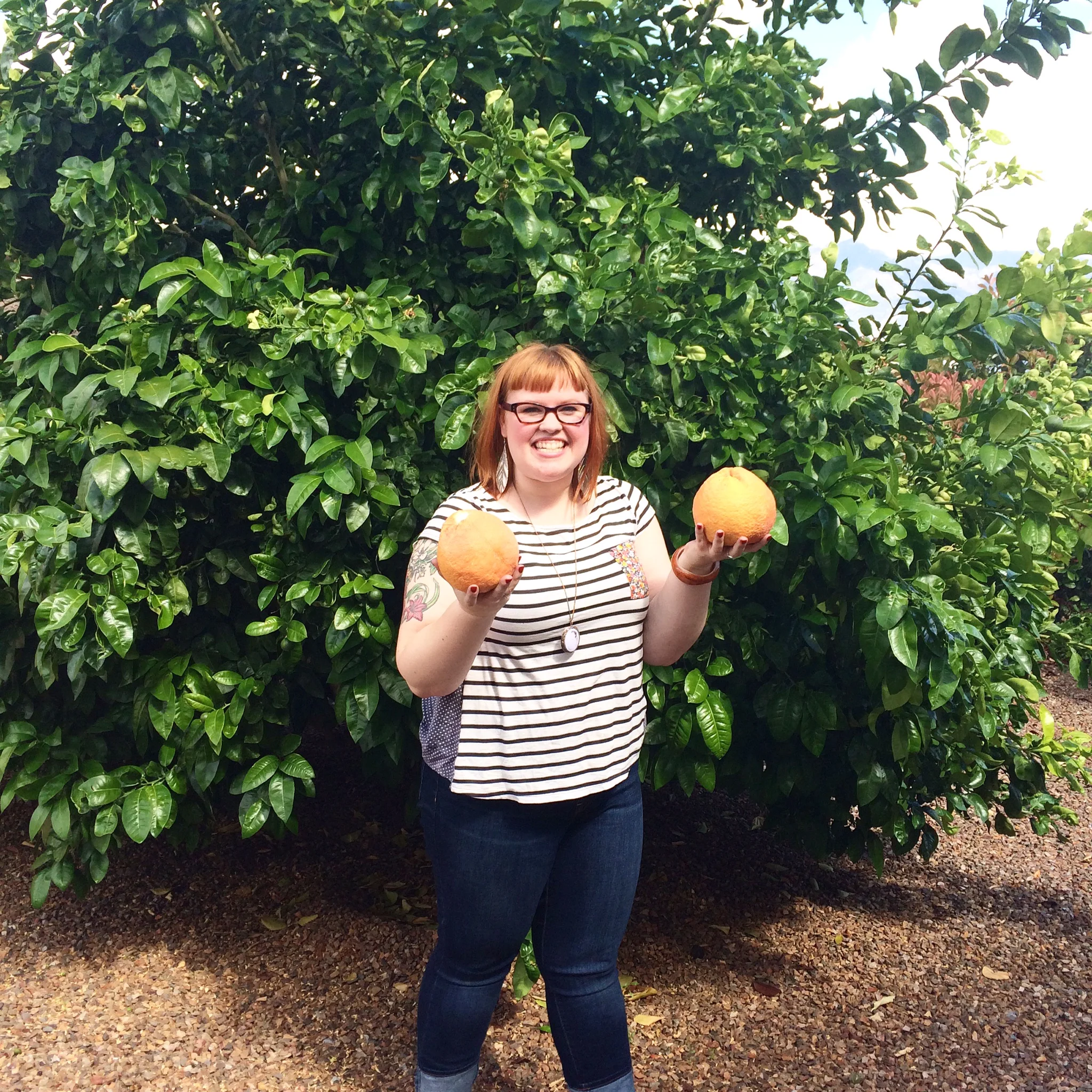 If you follow me on Instagram you probably already saw this one but I have to share it again because LOOK AT HOW BIG THOSE GRAPEFRUIT ARE