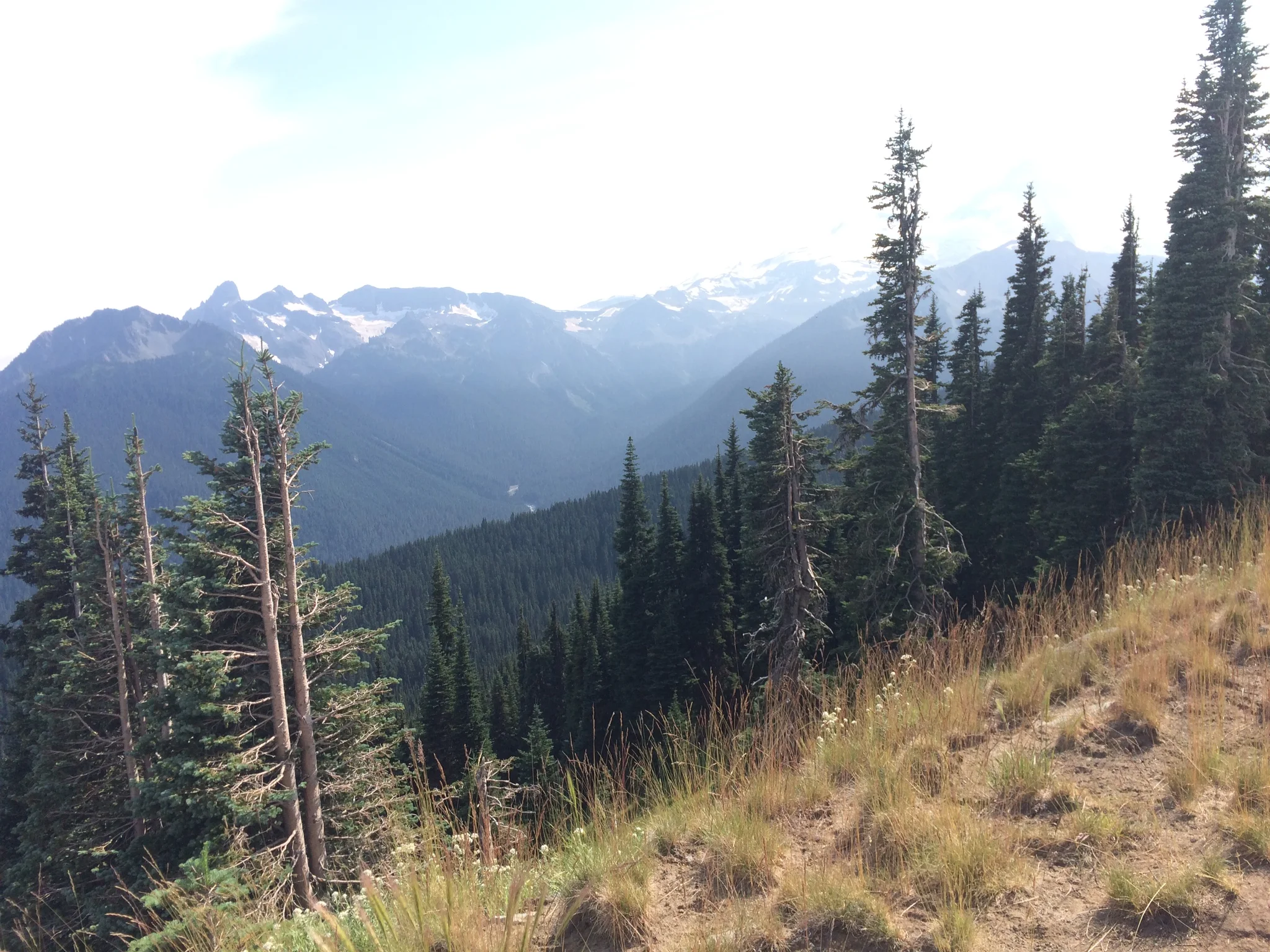 Sourdough Ridge
