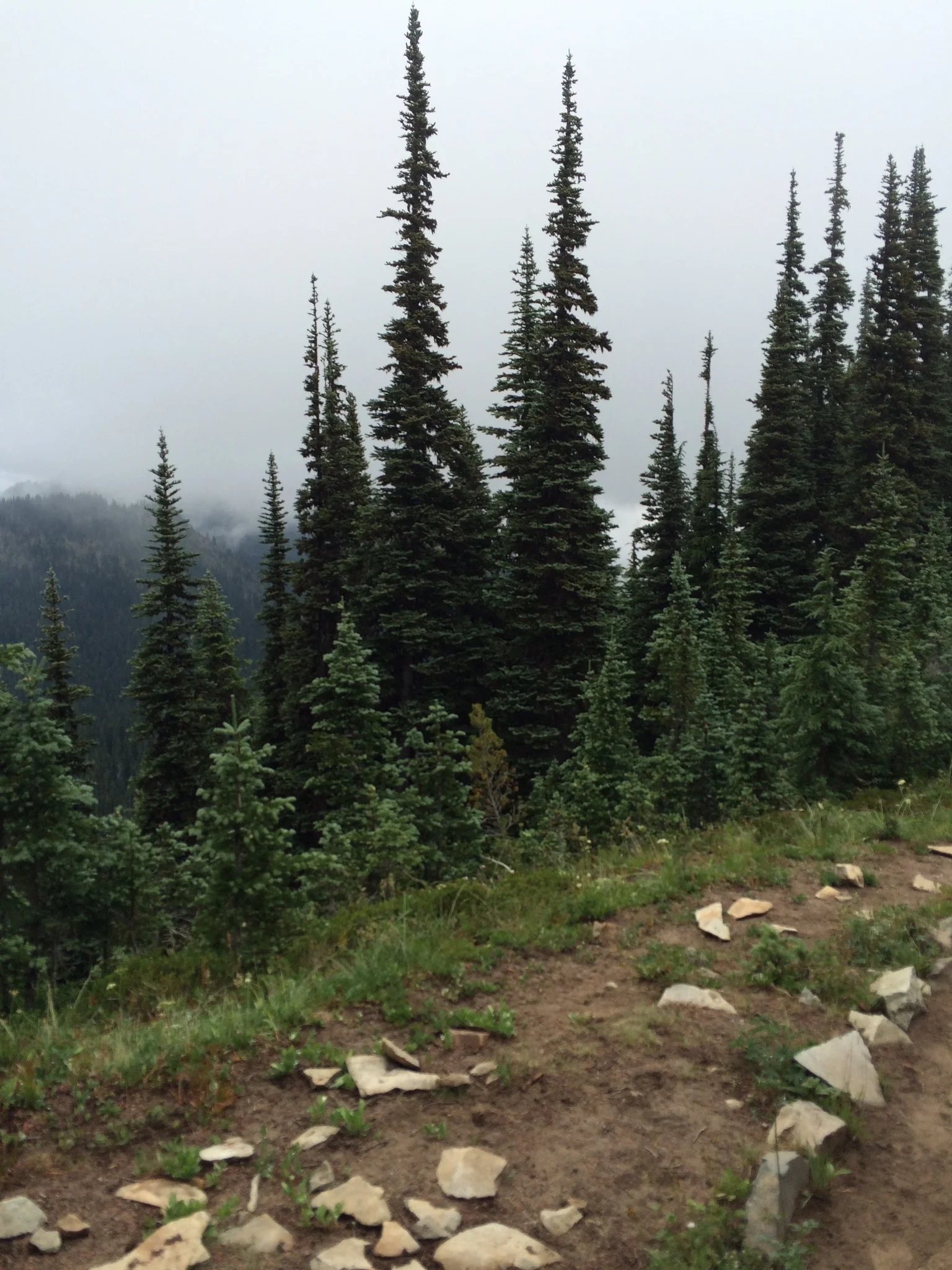 Sunrise Point trail